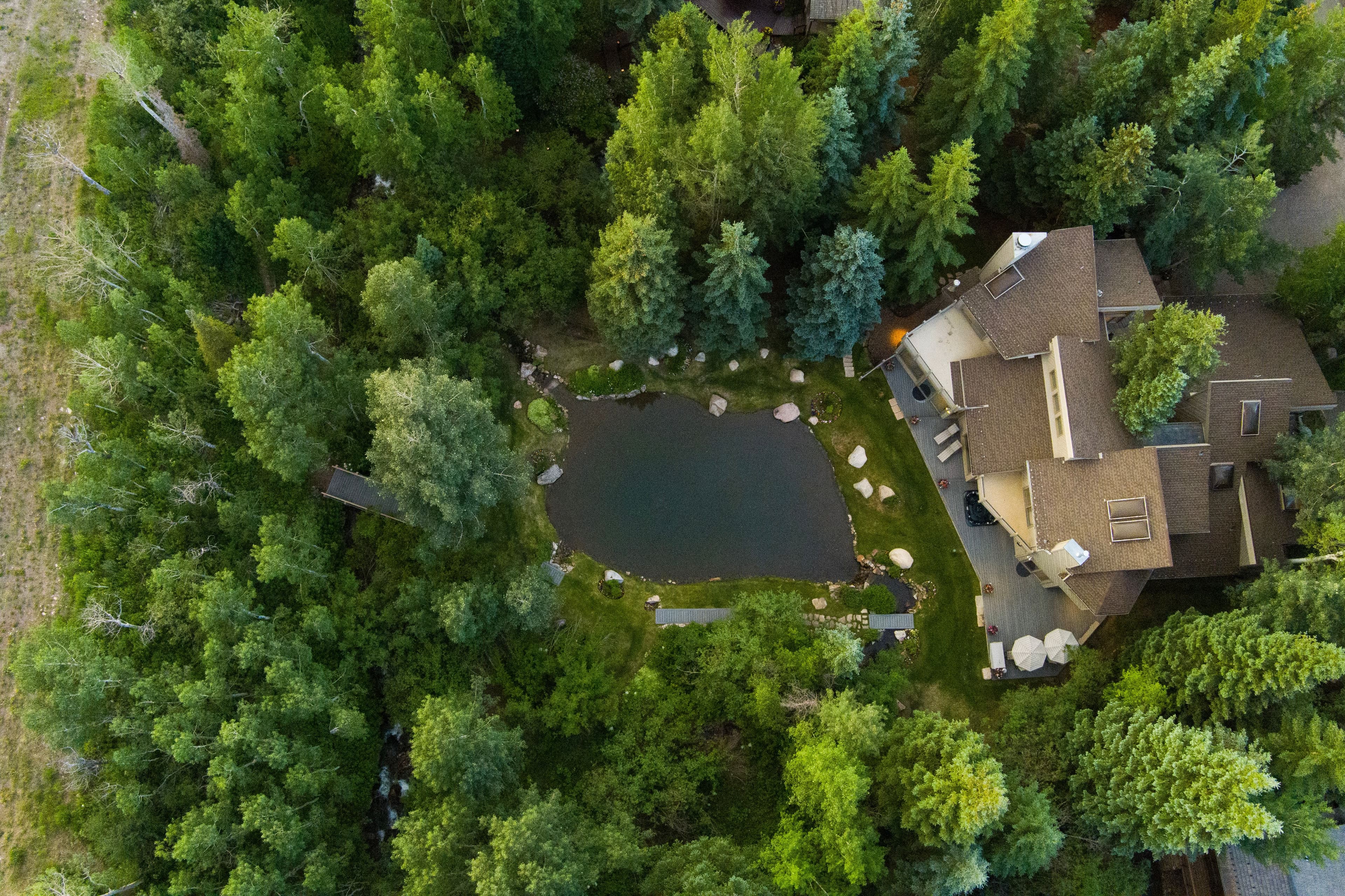 473 Creek Lane, Snowmass Village, CO 81615 - Photo 25
