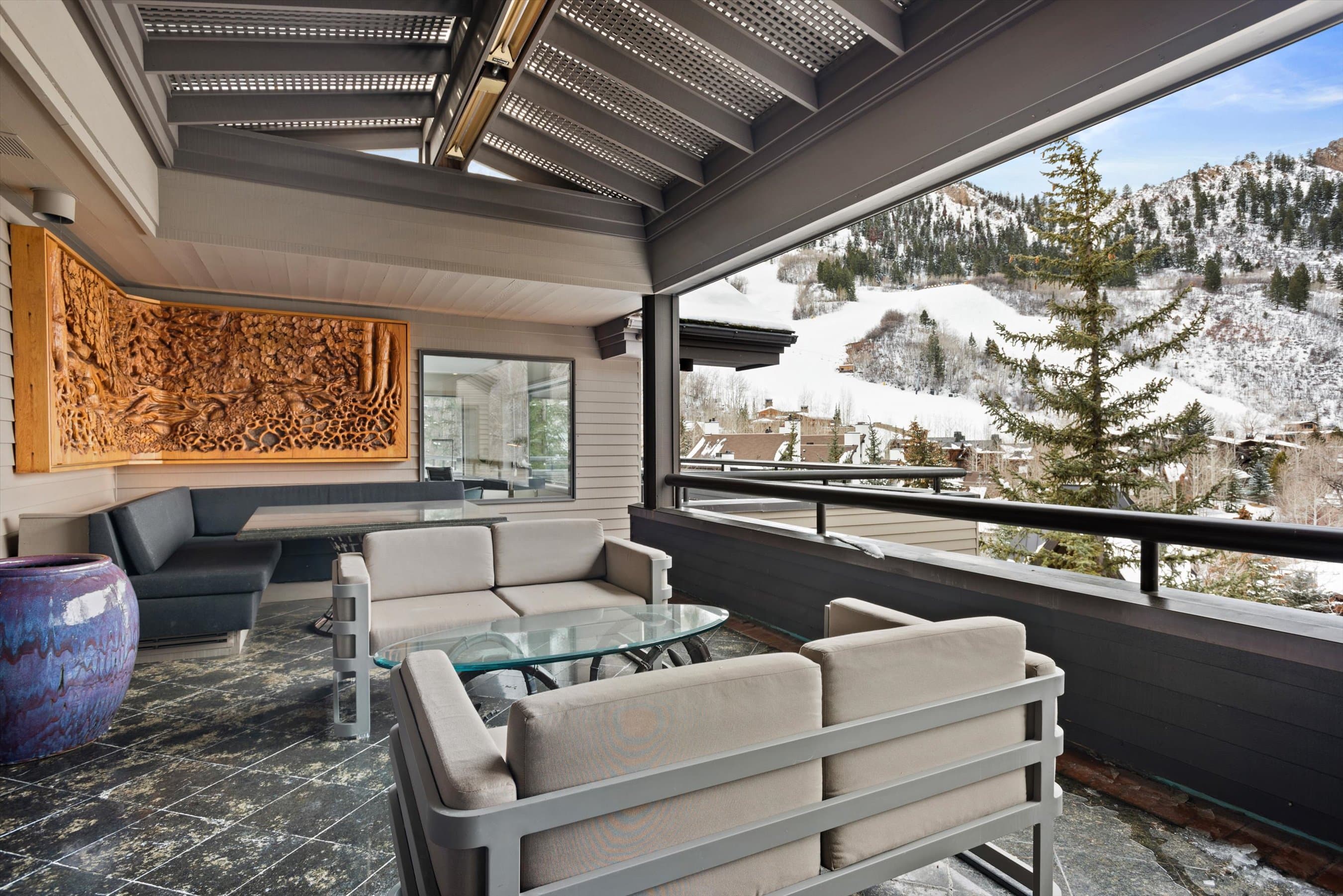 730 S Galena Street, Aspen, CO 81611 - Photo 11