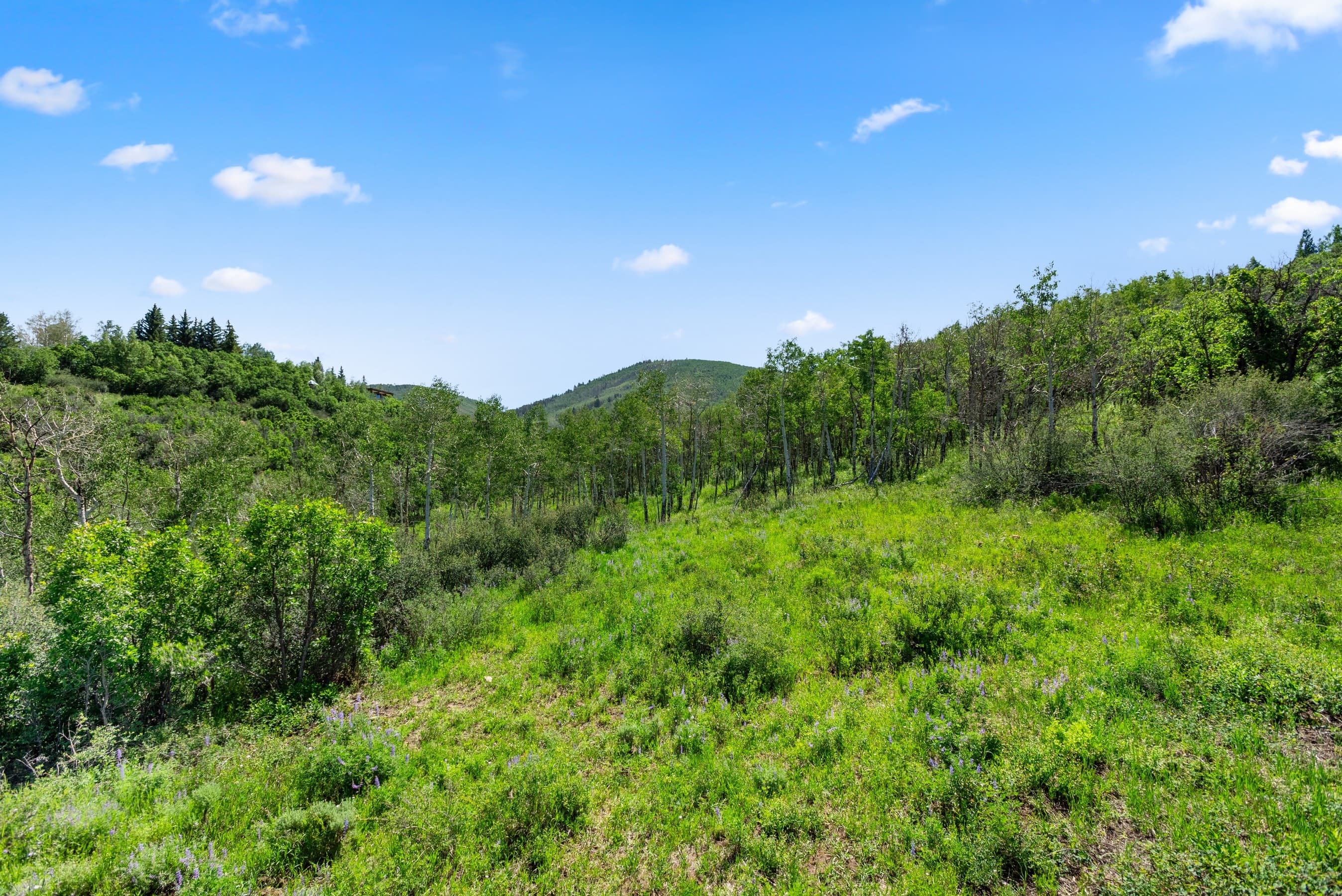 TBD Trentaz Drive, Aspen, CO 81611 - Photo 40