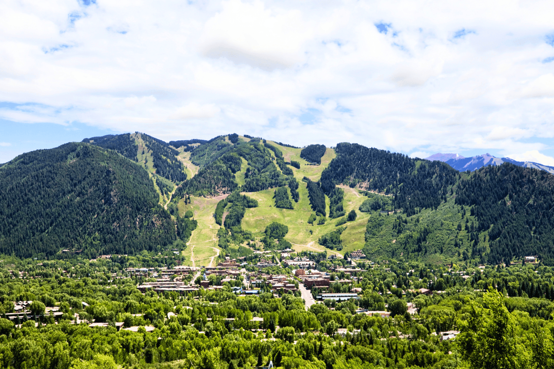 433 Gillespie Street, Aspen, CO 81611 - Photo 9