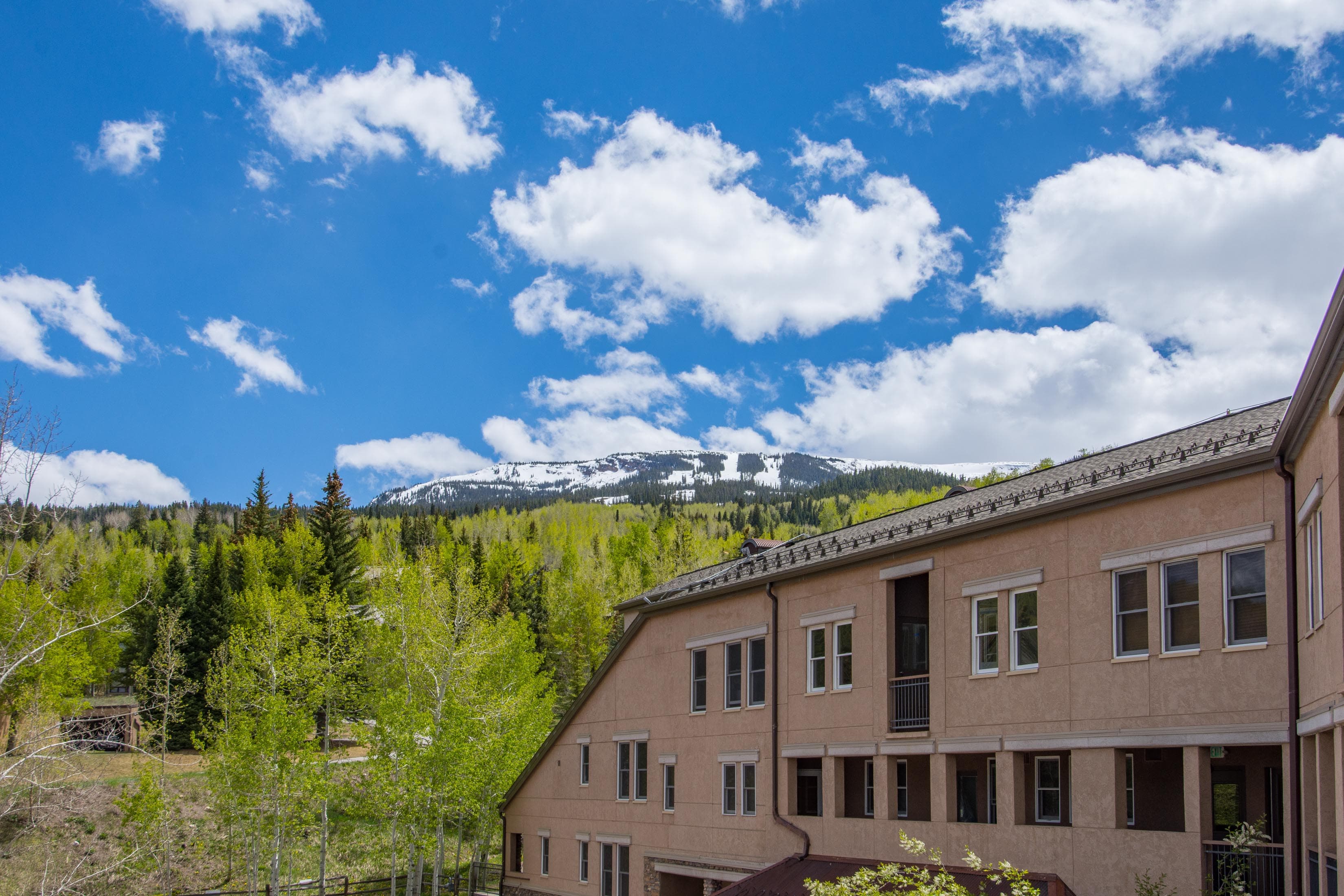 425 Wood Road 48, Snowmass Village, CO 81615 - Photo 34