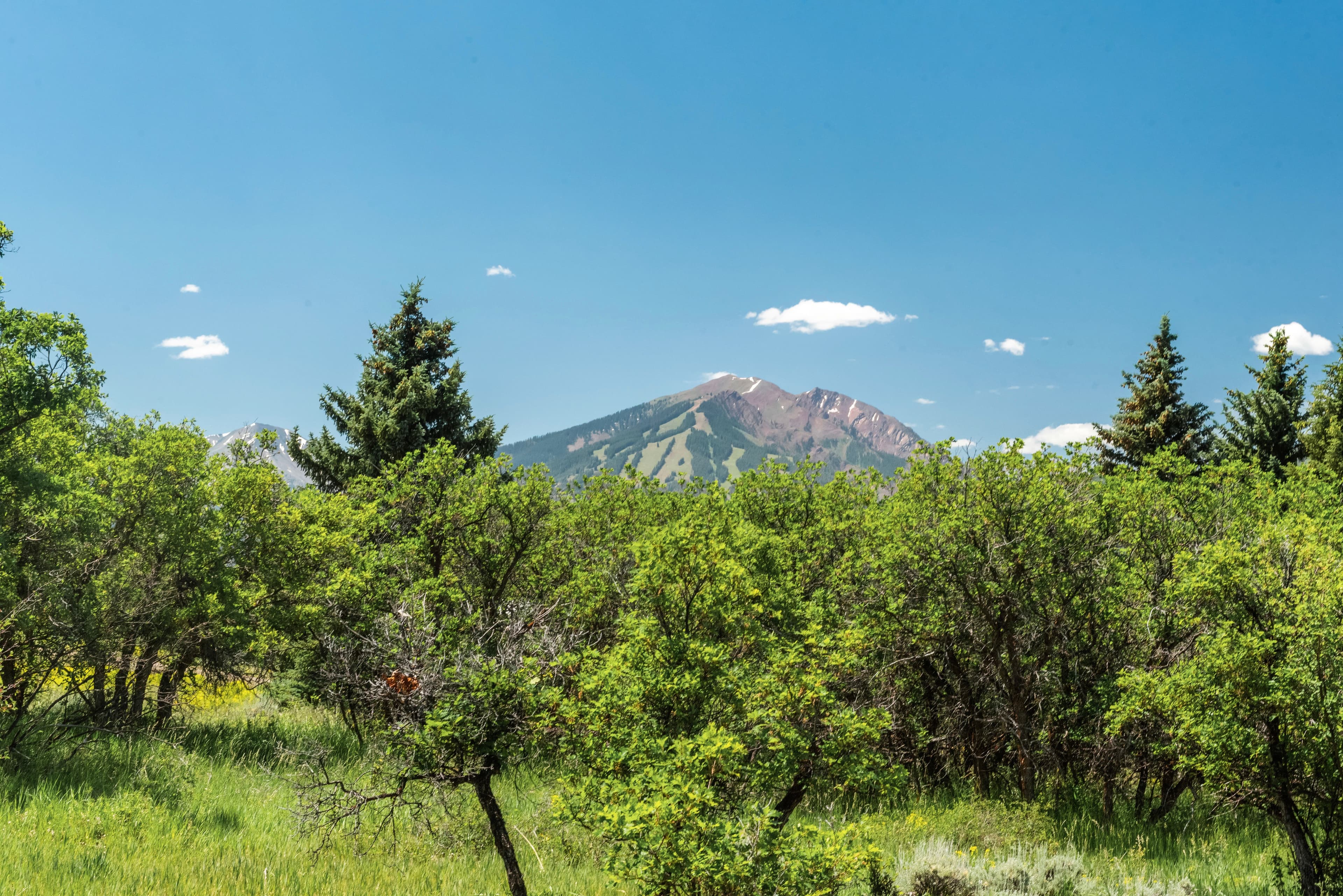 623 Johnson Drive, Aspen, CO 81611 - Photo 24