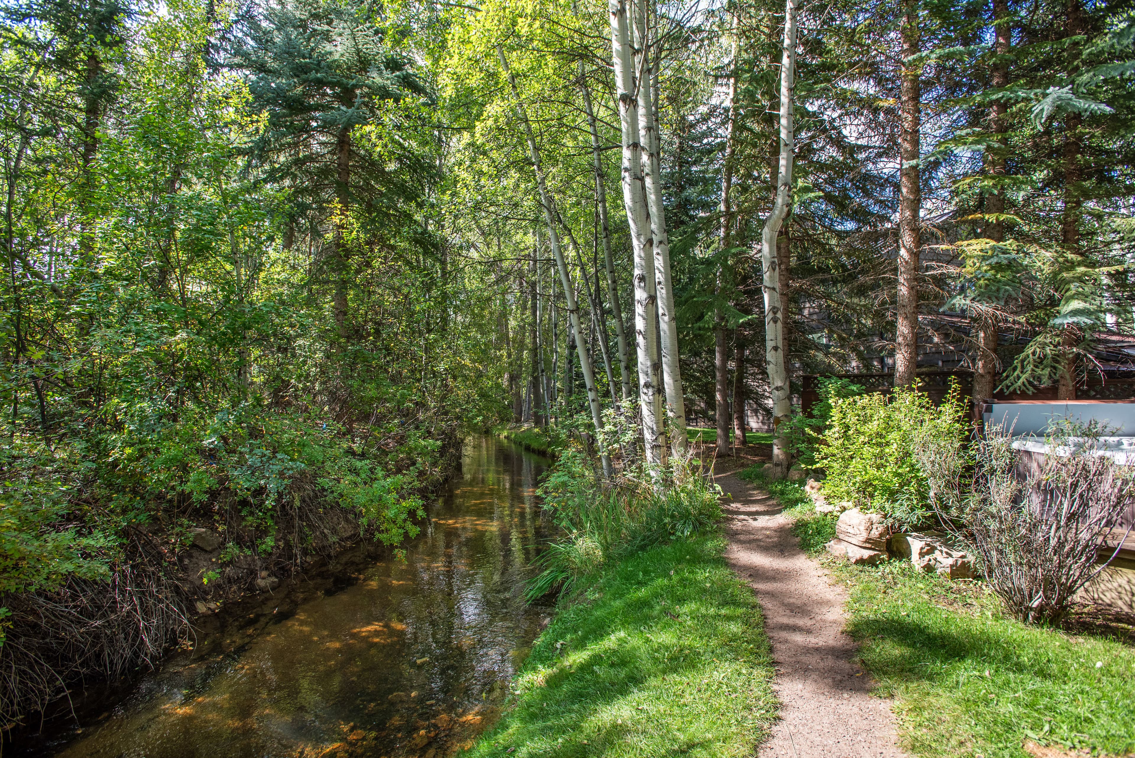 66 Alpine Court, Aspen, CO 81611 - Photo 35