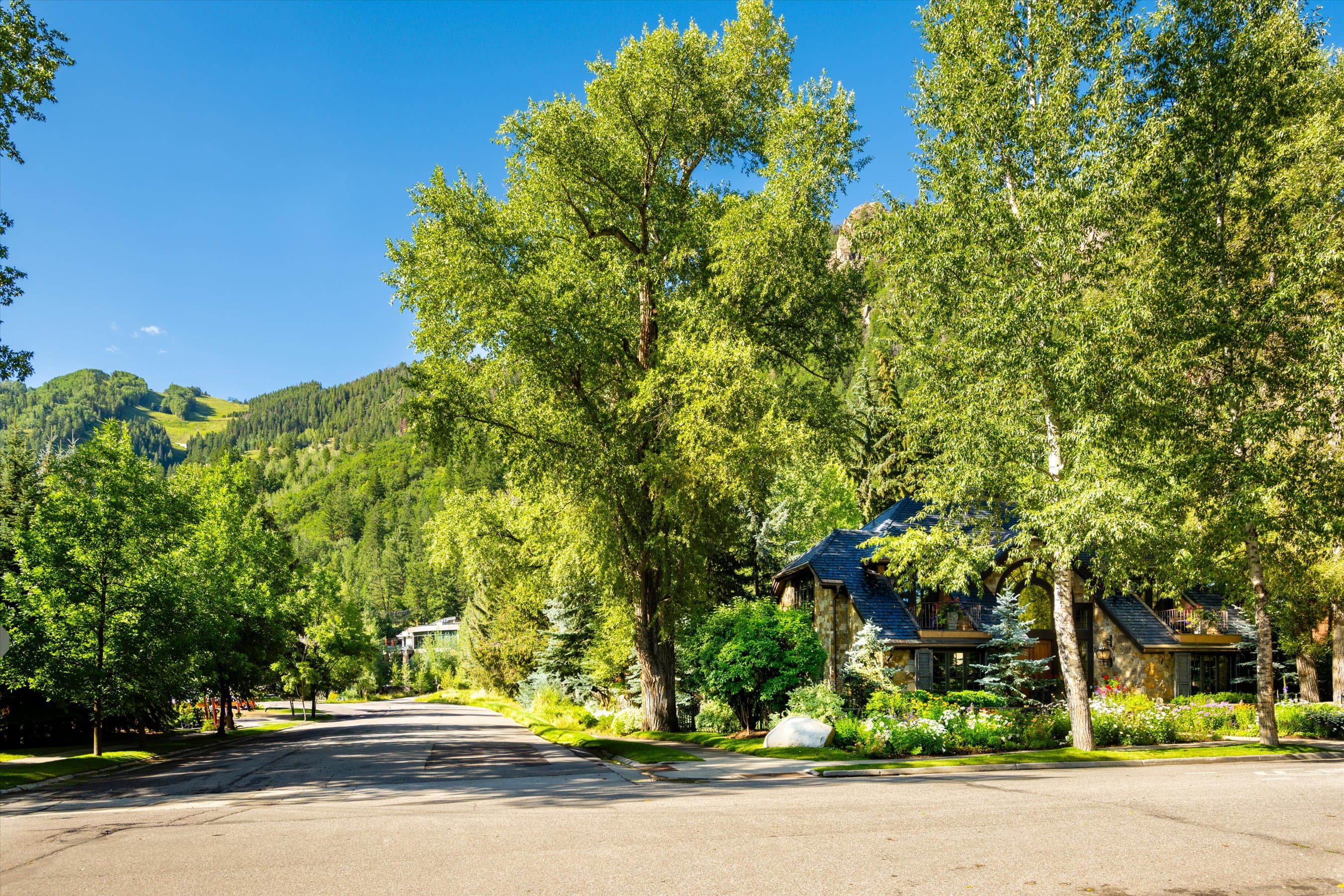 303 W Hopkins Avenue, Aspen, CO 81611 - Photo 9