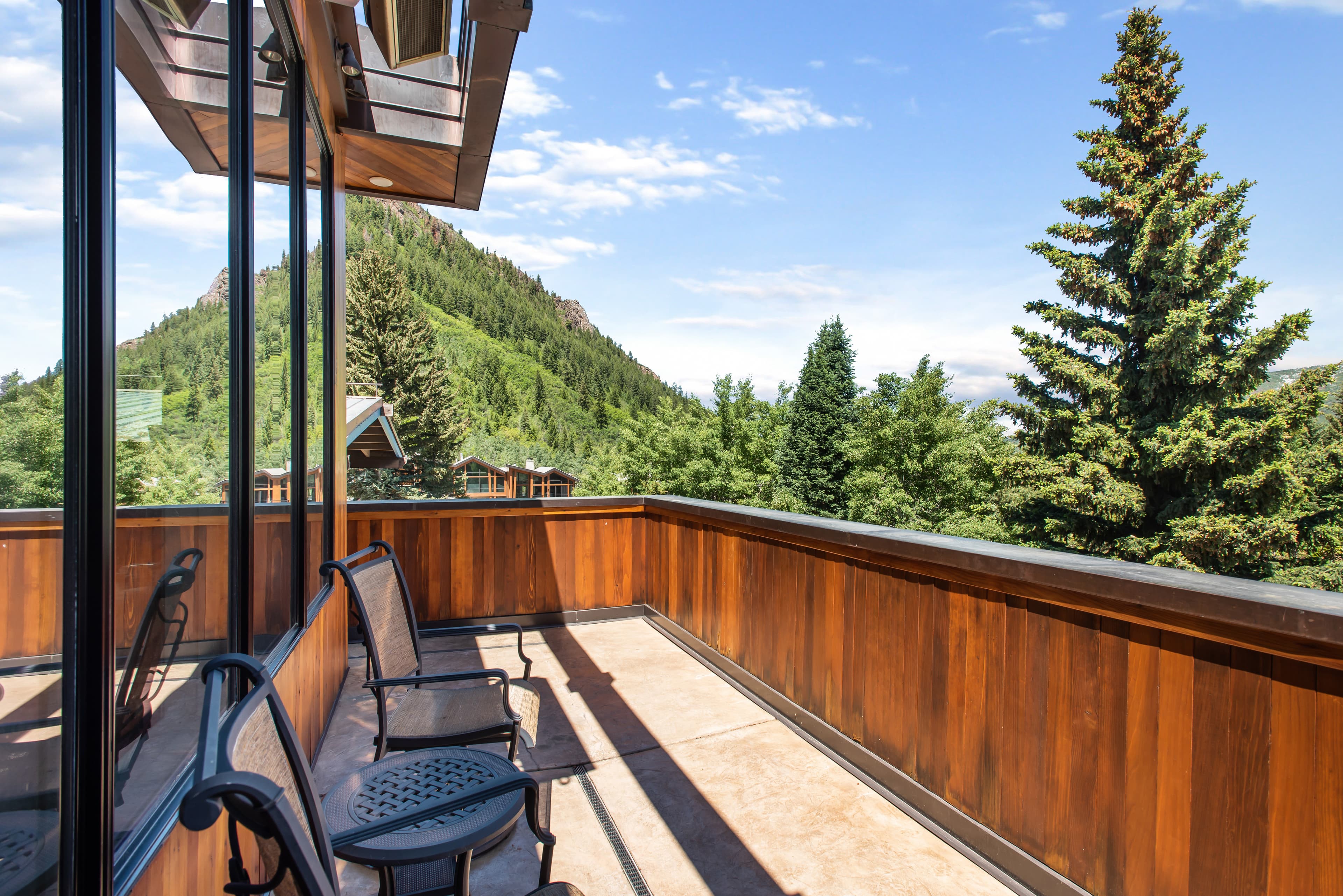 237 Gilbert Street, Aspen, CO 81611 - Photo 12