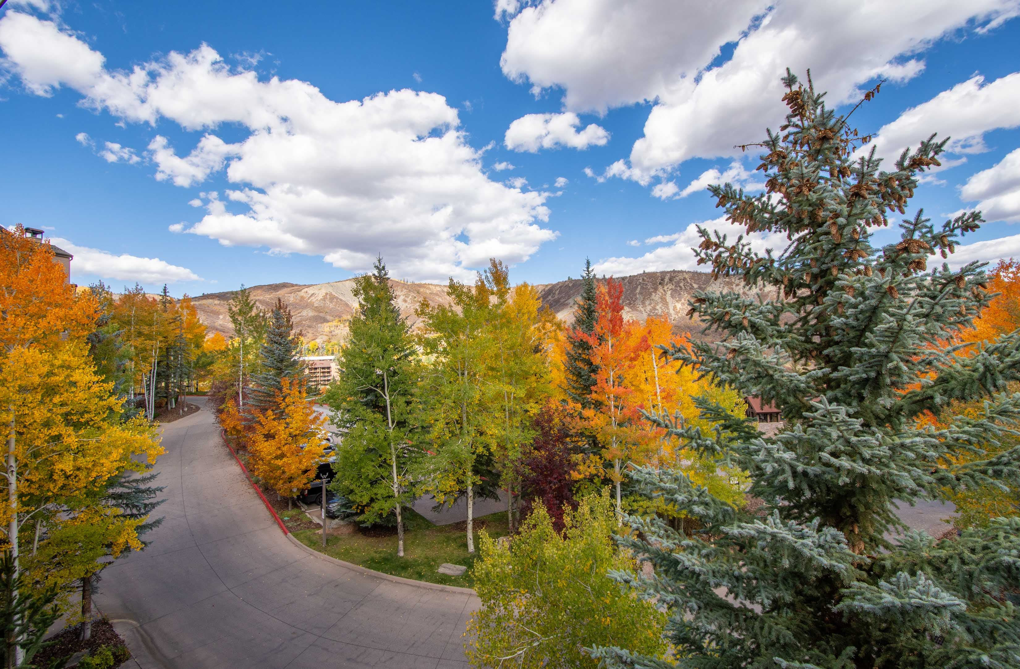 425 Wood Road 10, Snowmass Village, CO 81615 - Photo 19