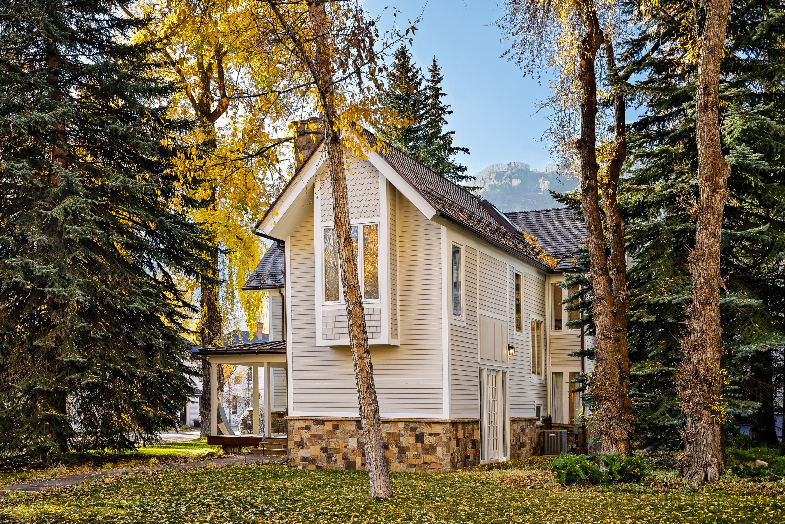 401 W Bleeker Street, Aspen, CO 81611 - Photo 28
