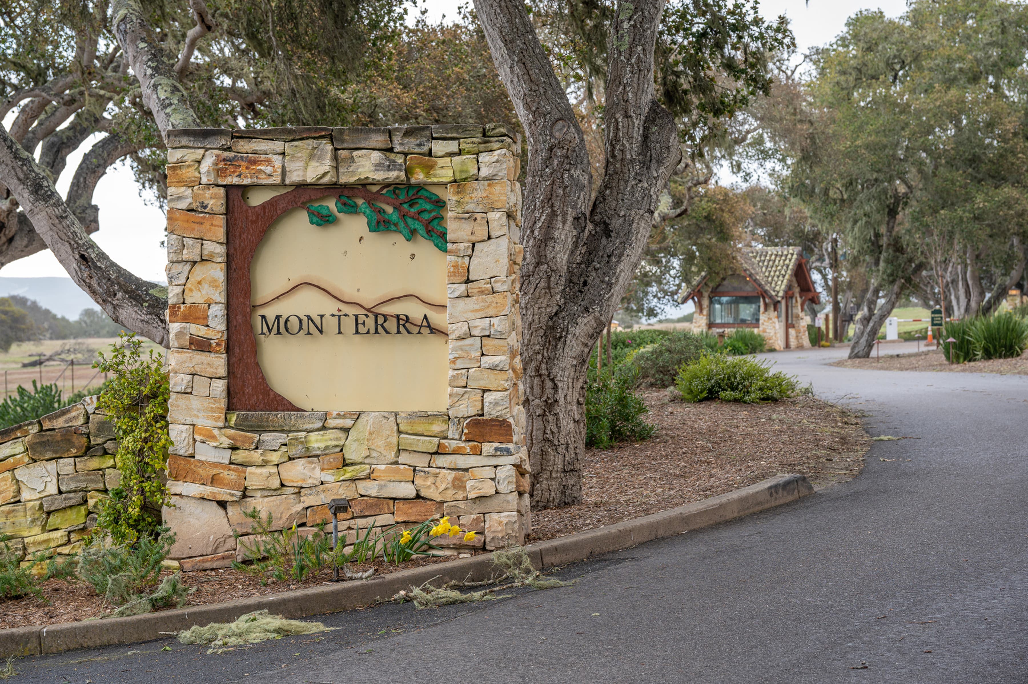 24545 Via Malpaso (Lot 94) - Photo 12