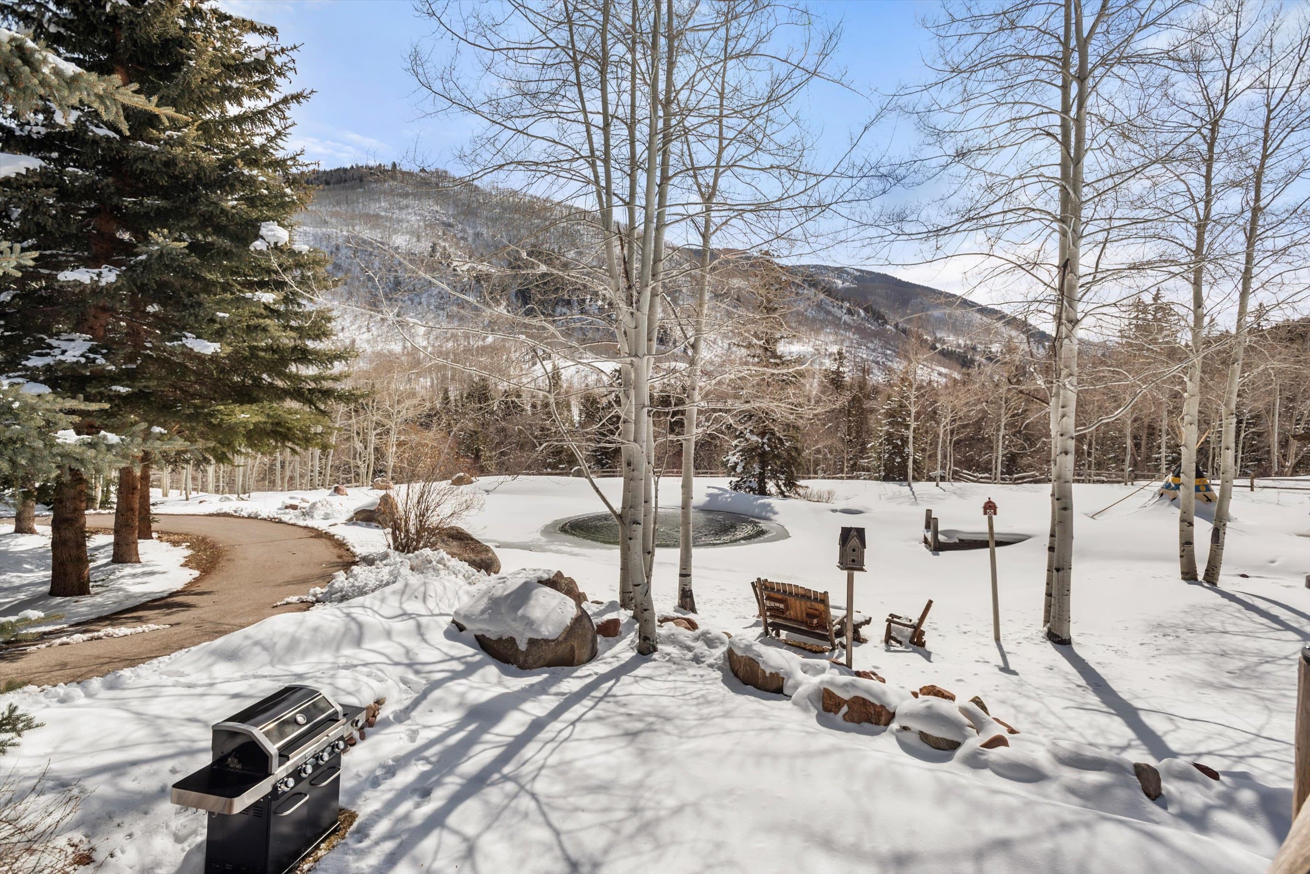 303 Conundrum Creek Road, Aspen, CO 81611 - Photo 28