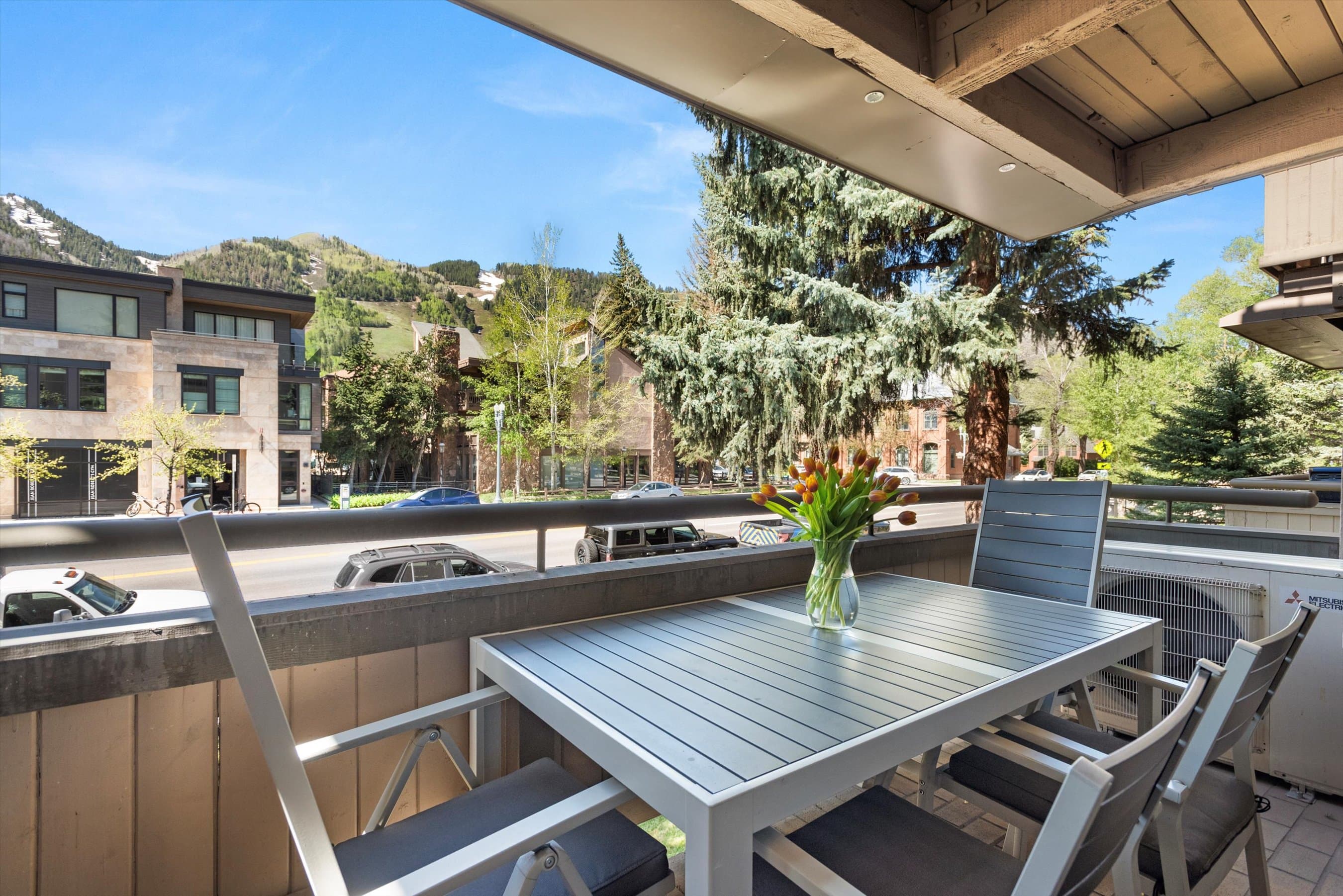 600 E Main Street #205, Aspen, CO 81611 - Photo 3