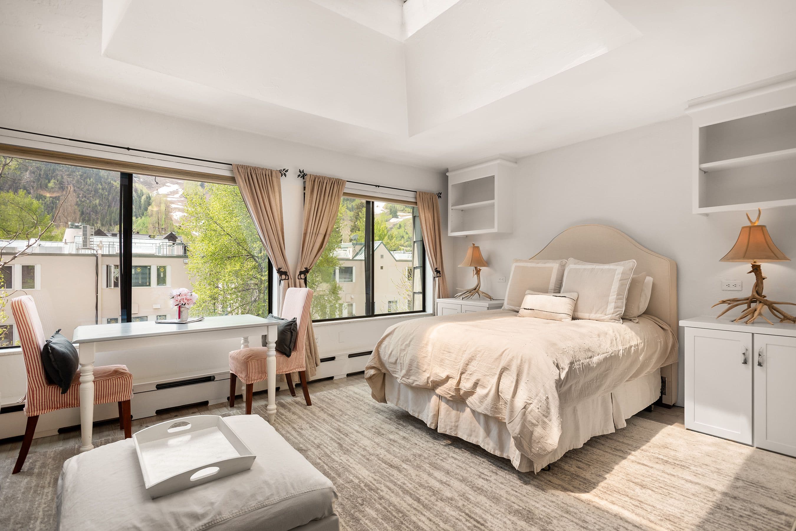 725 E Main Street #305, Aspen, CO 81611 - Photo 6