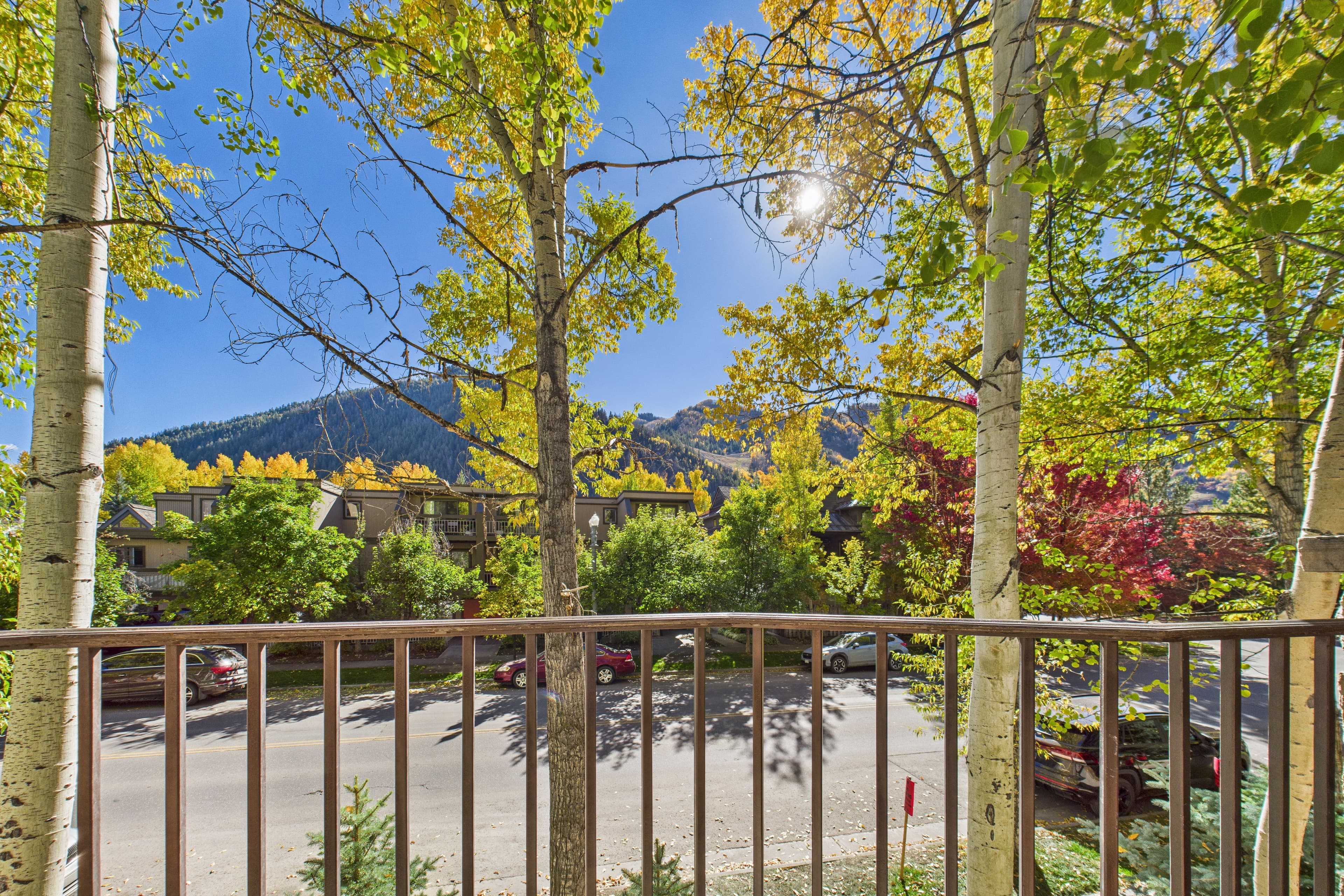 914 E Cooper Avenue, Aspen, CO 81611 - Photo 22