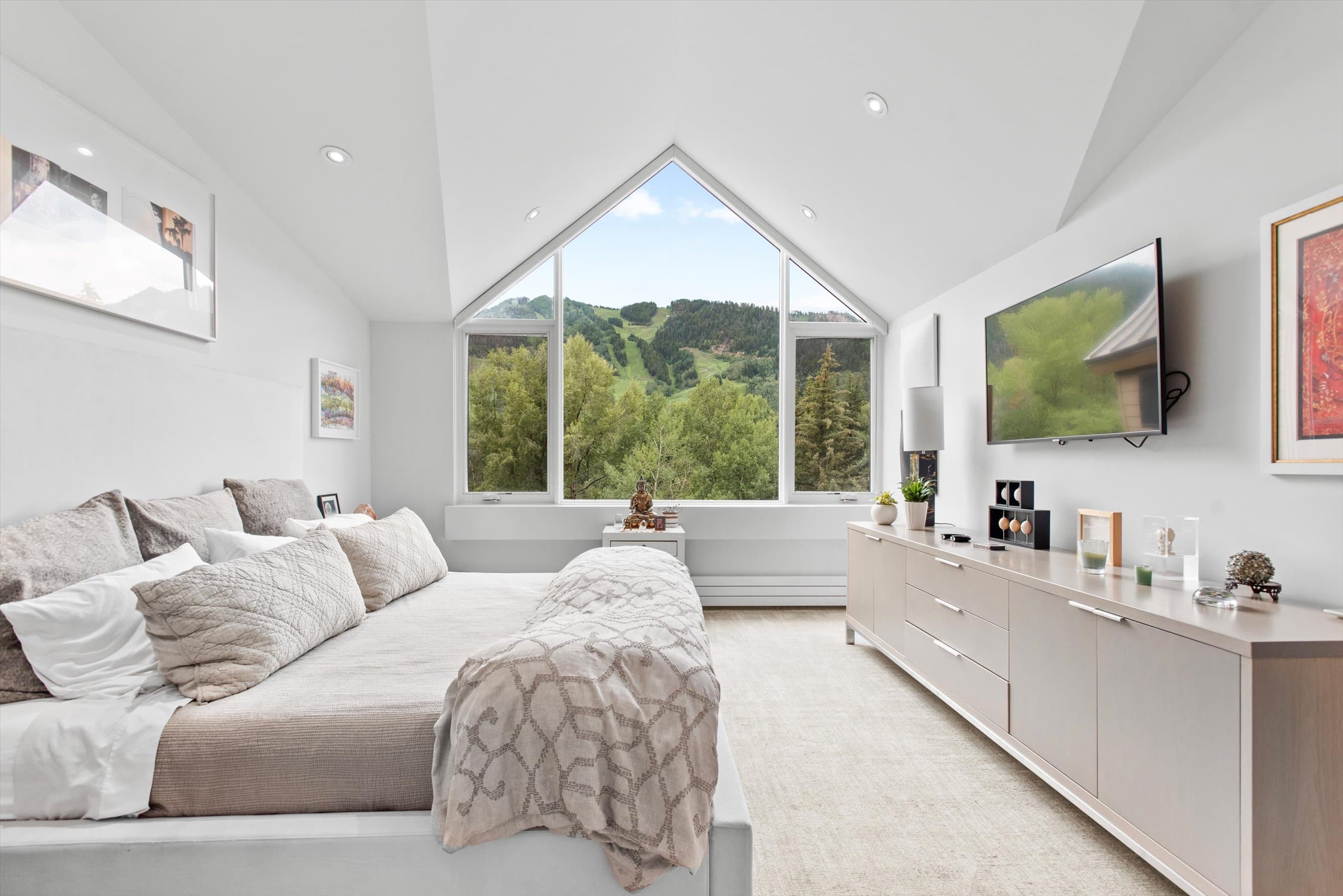 155 Lone Pine Road 8, Aspen, CO 81611 - Photo 4