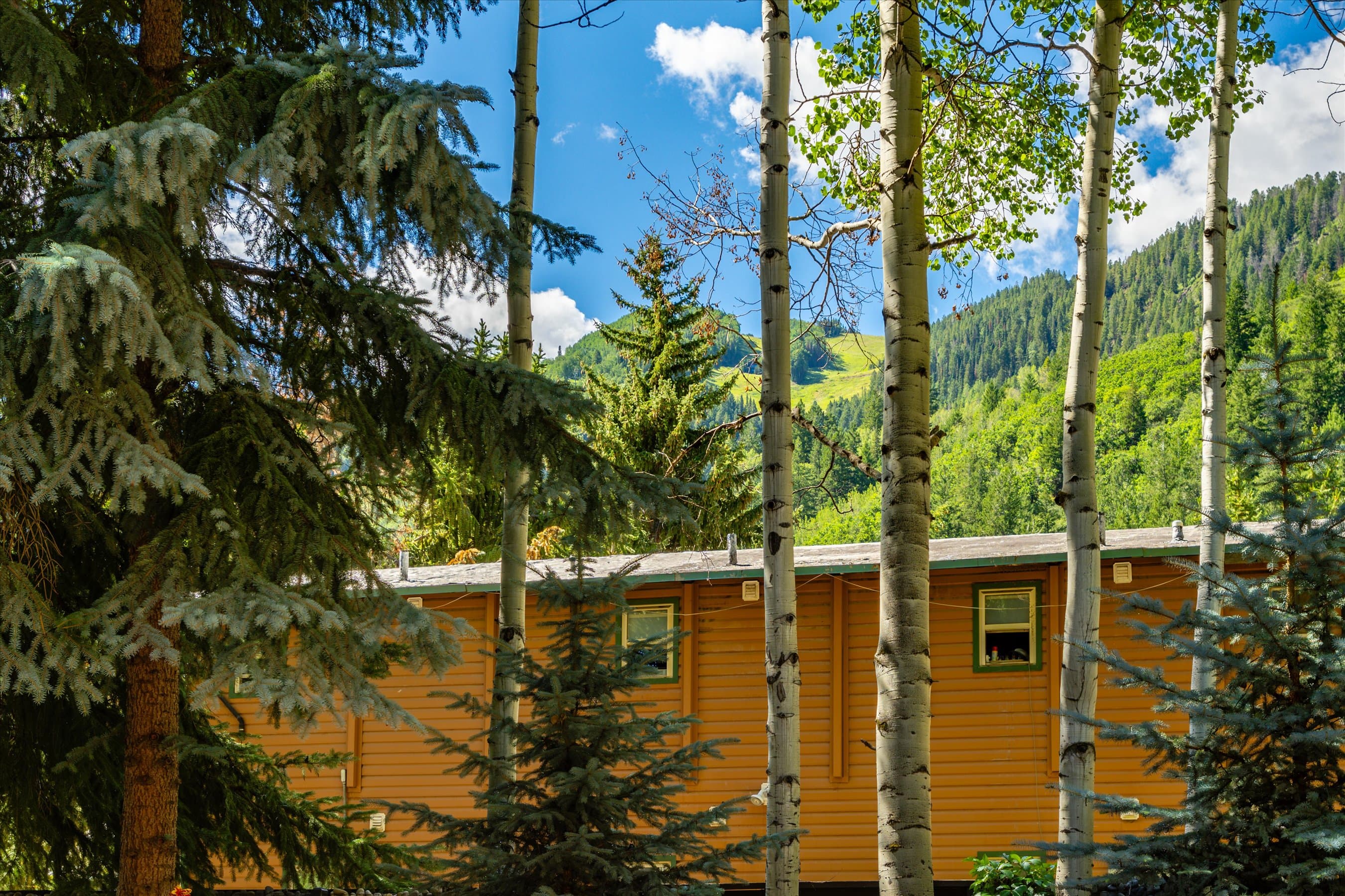 303 W Hopkins Avenue, Aspen, CO 81611 - Photo 23