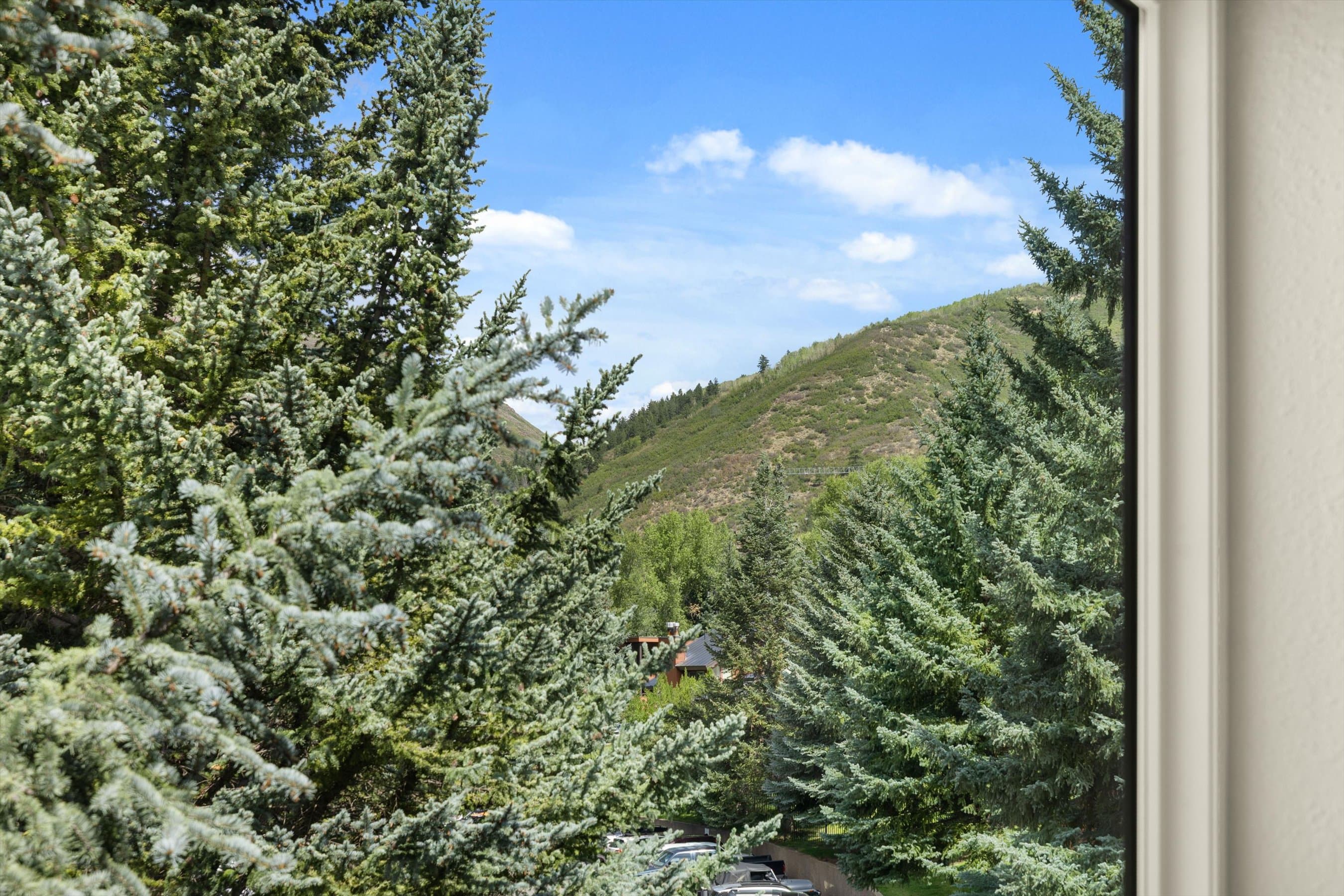 950 Vine Street, Aspen, CO 81611 - Photo 18