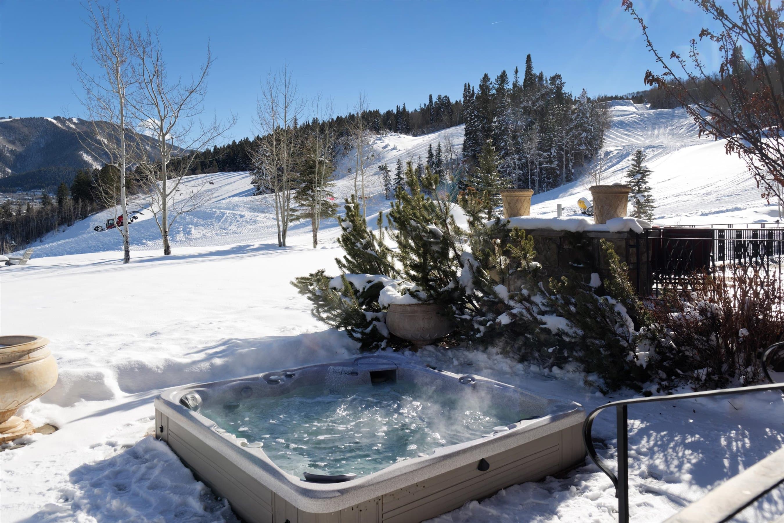 220 Buttermilk Lane, Aspen, CO 81611 - Photo 37