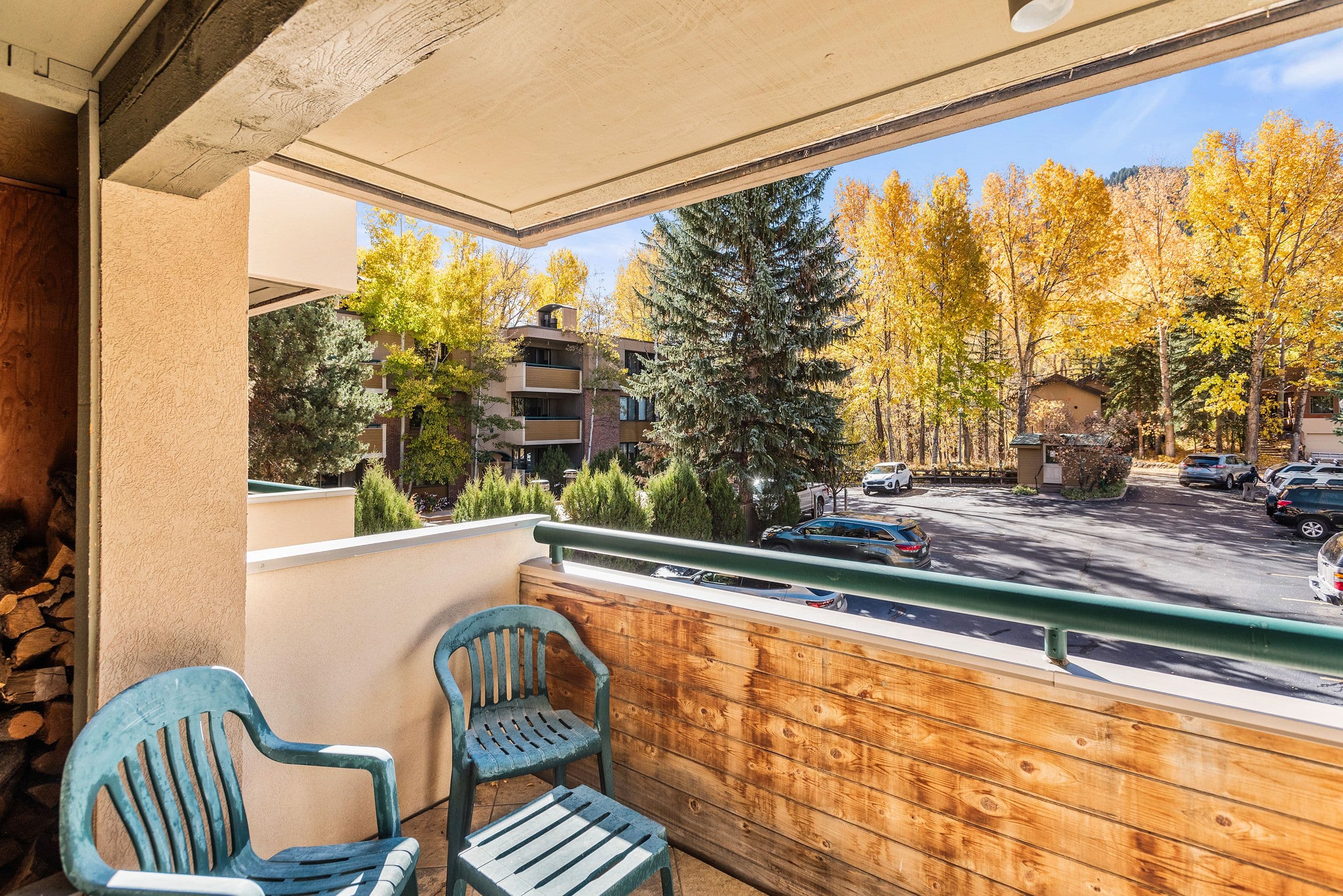 1024 E Hopkins Avenue 12, Aspen, CO 81611 - Photo 7