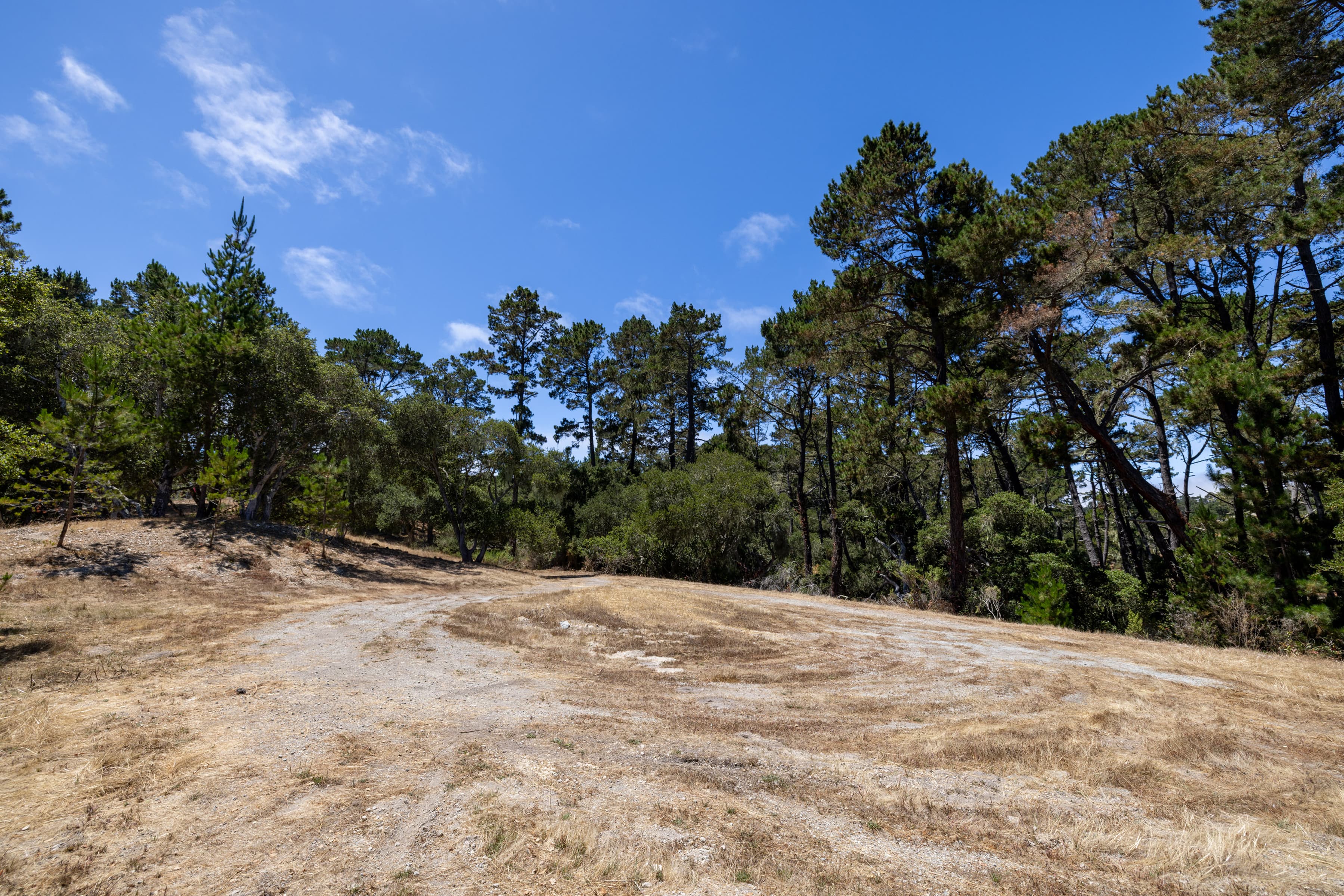 0 Paseo Venado (Lot 116) - Photo 6