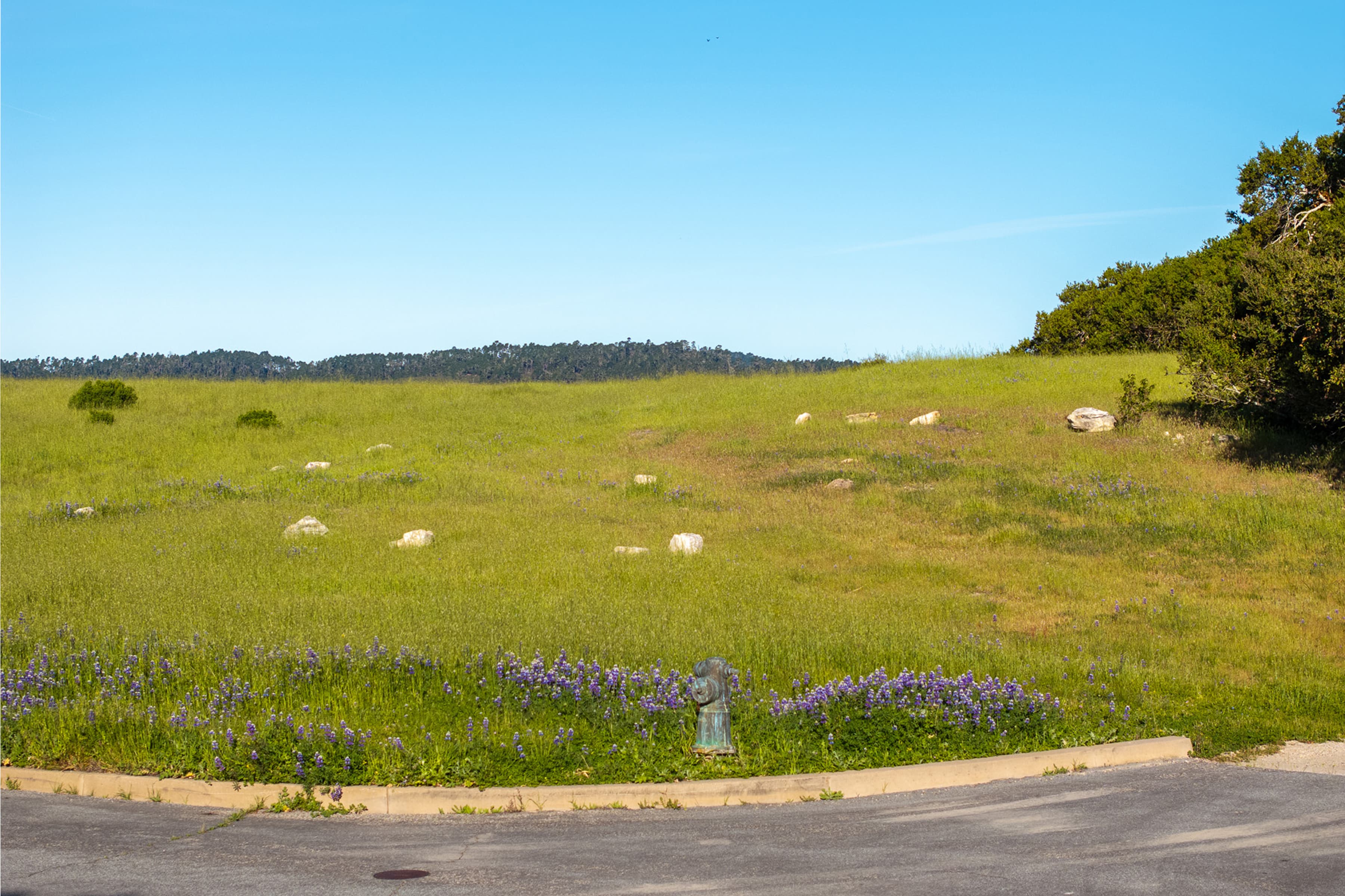 25825 Via Malpaso (Lot 68) - Photo 8