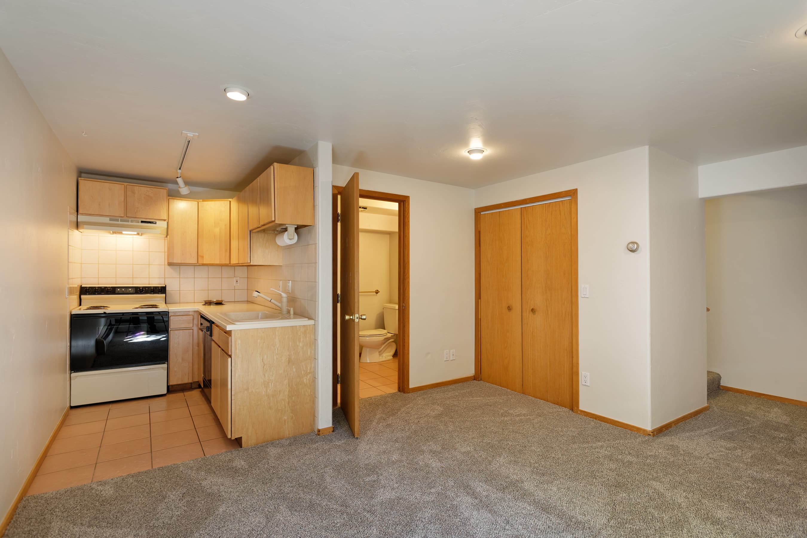 311 Midland Avenue, Aspen, CO 81611 - Photo 22