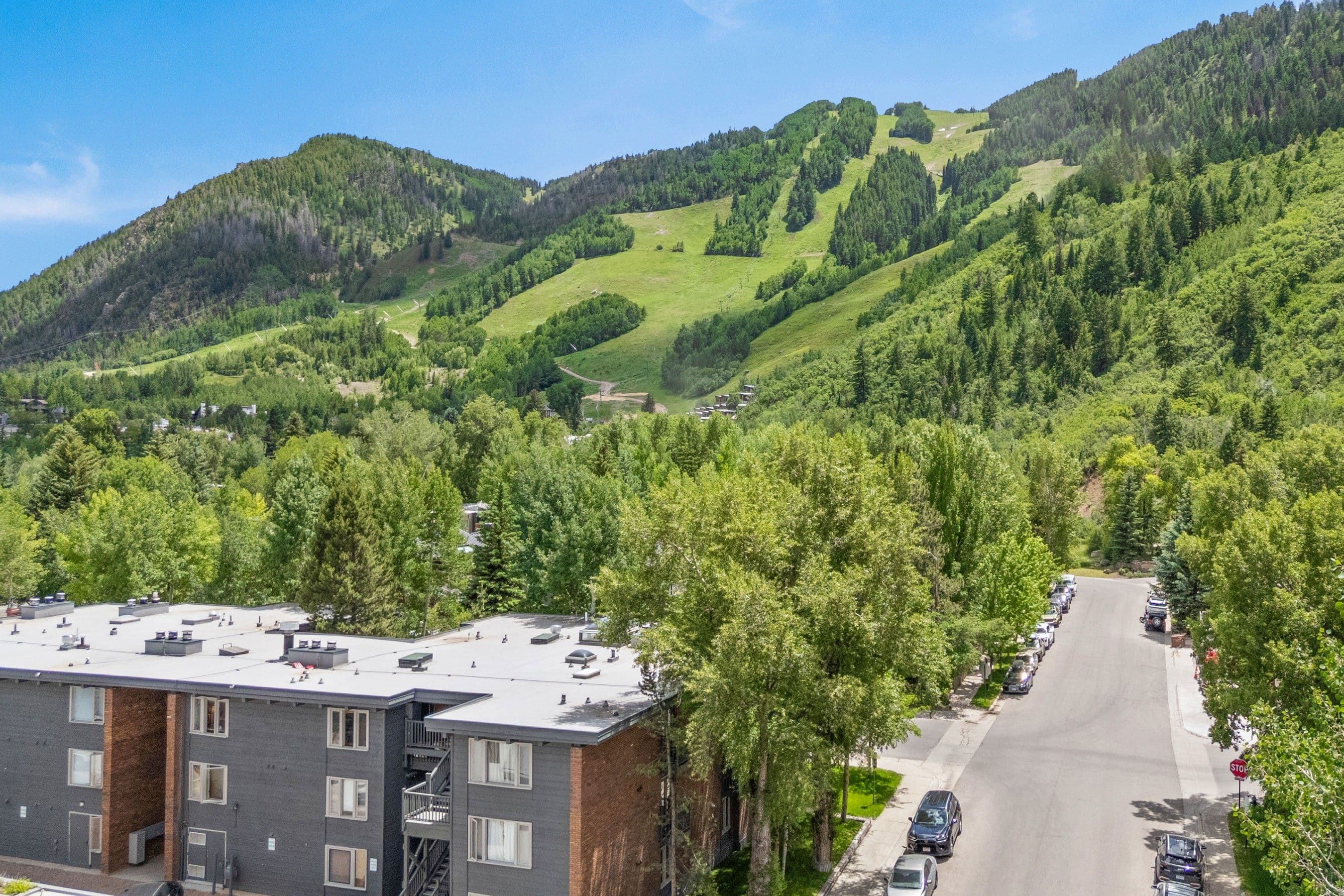 124 W Hyman Avenue 3B, Aspen, CO 81611 - Photo 4