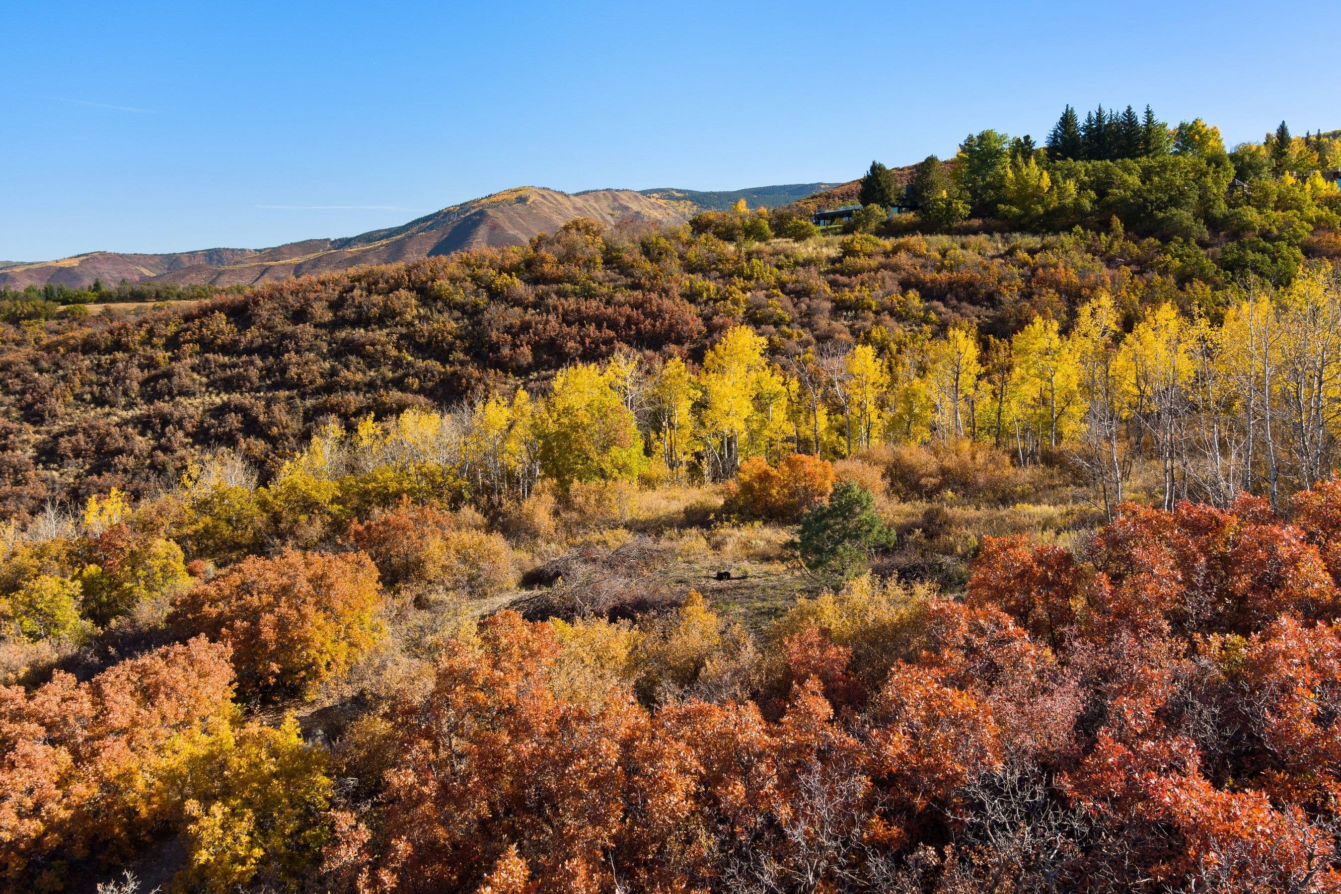 TBD Trentaz Drive, Aspen, CO 81611 - Photo 12