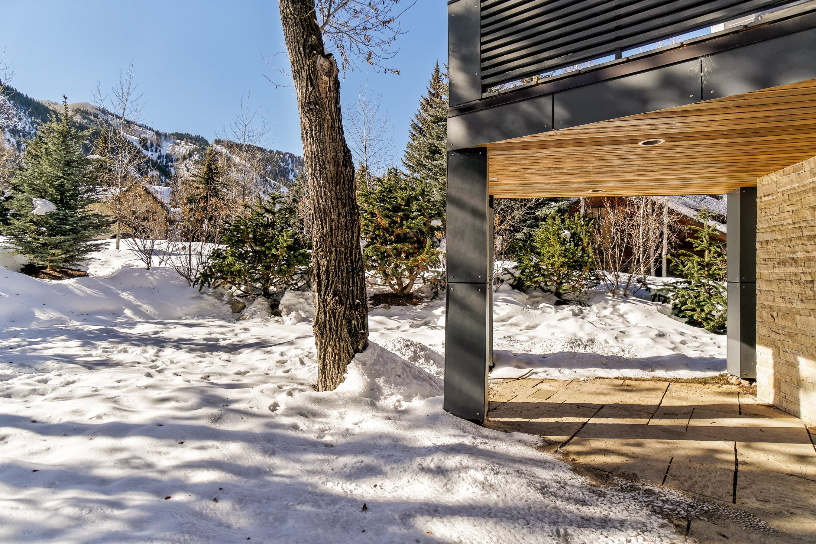 100 Park Avenue, Aspen, CO 81611 - Photo 7