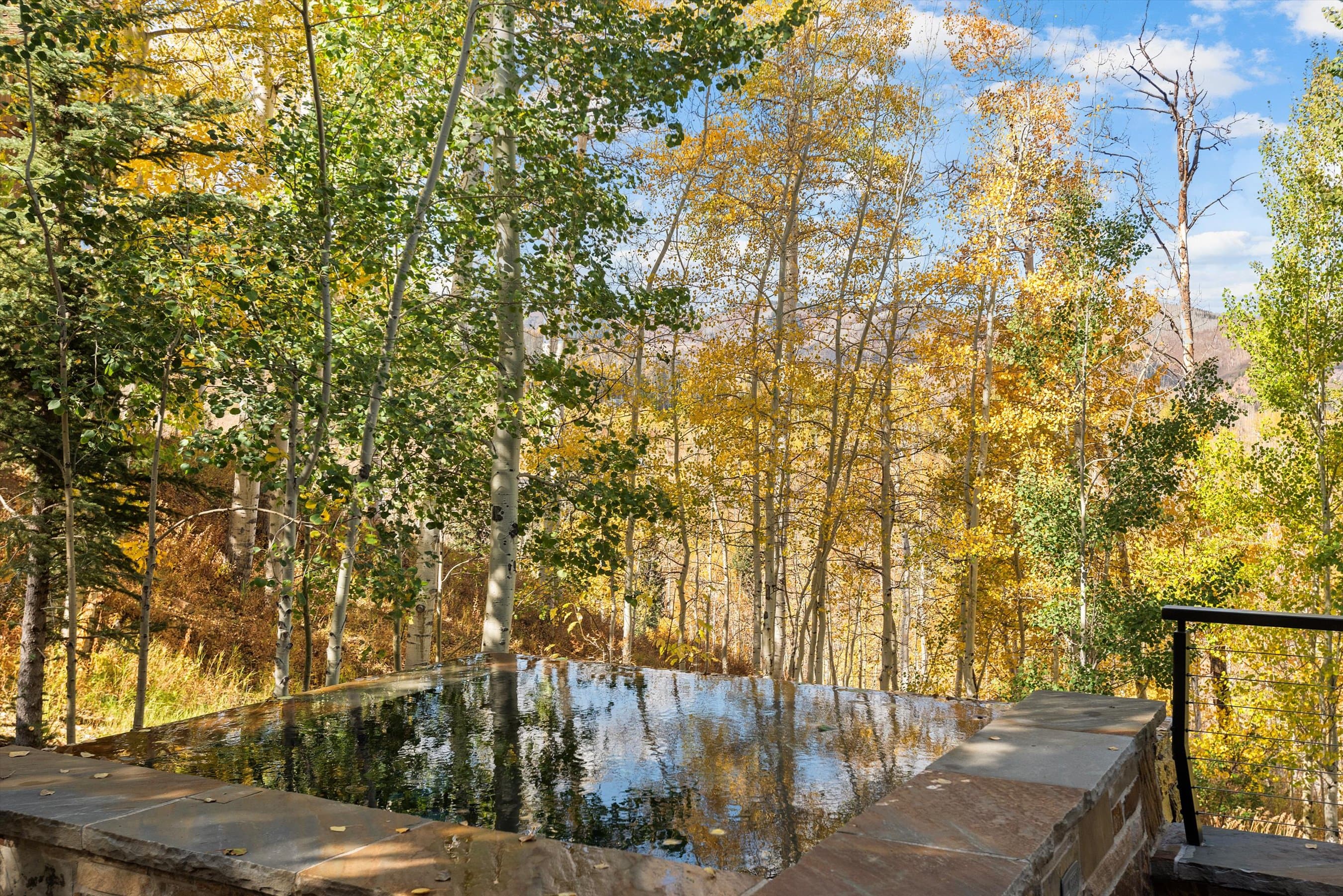 234 Bridge Lane, Snowmass Village, CO 81615 - Photo 41