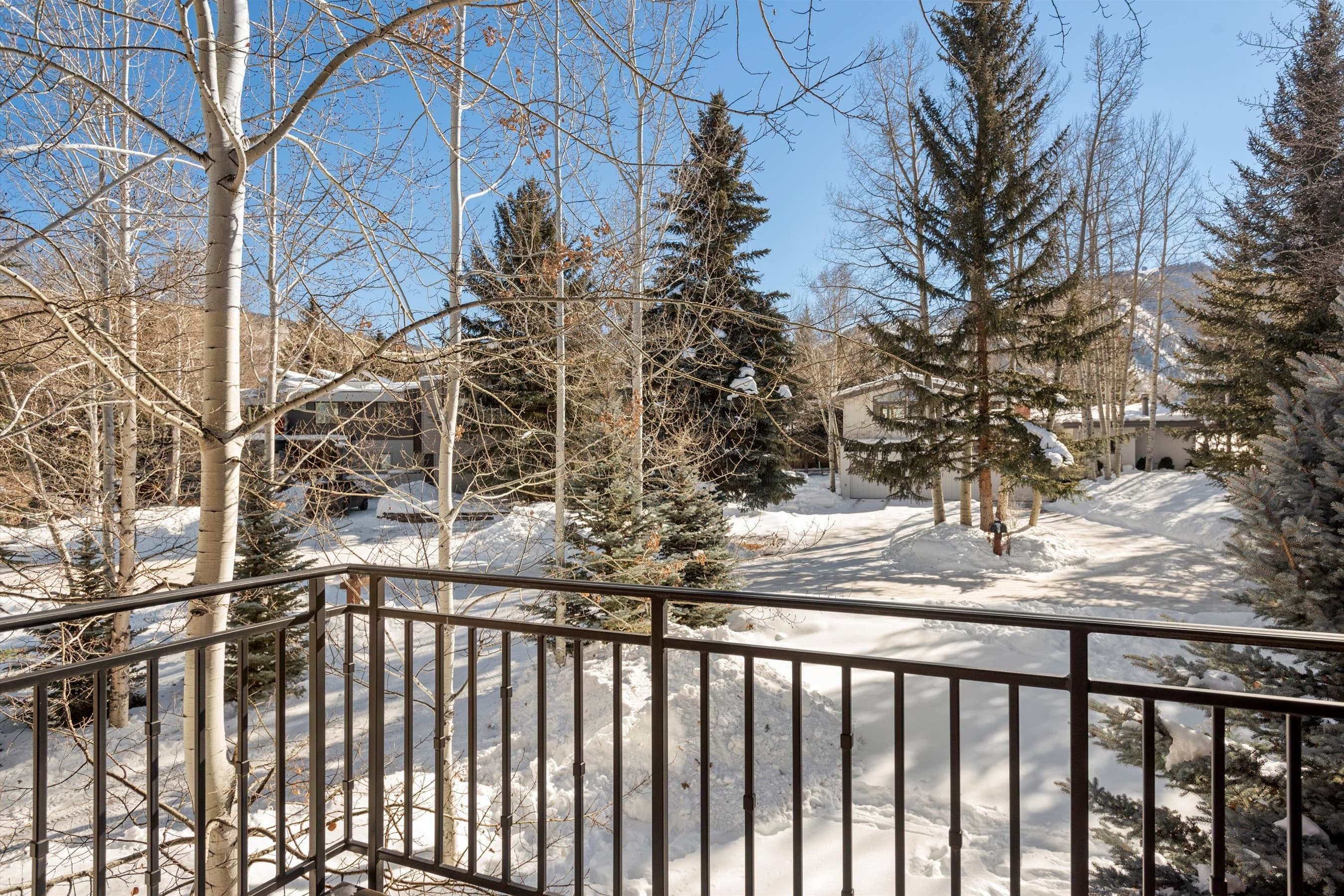 1432 Sierra Vista Drive, Aspen, CO 81611 - Photo 33