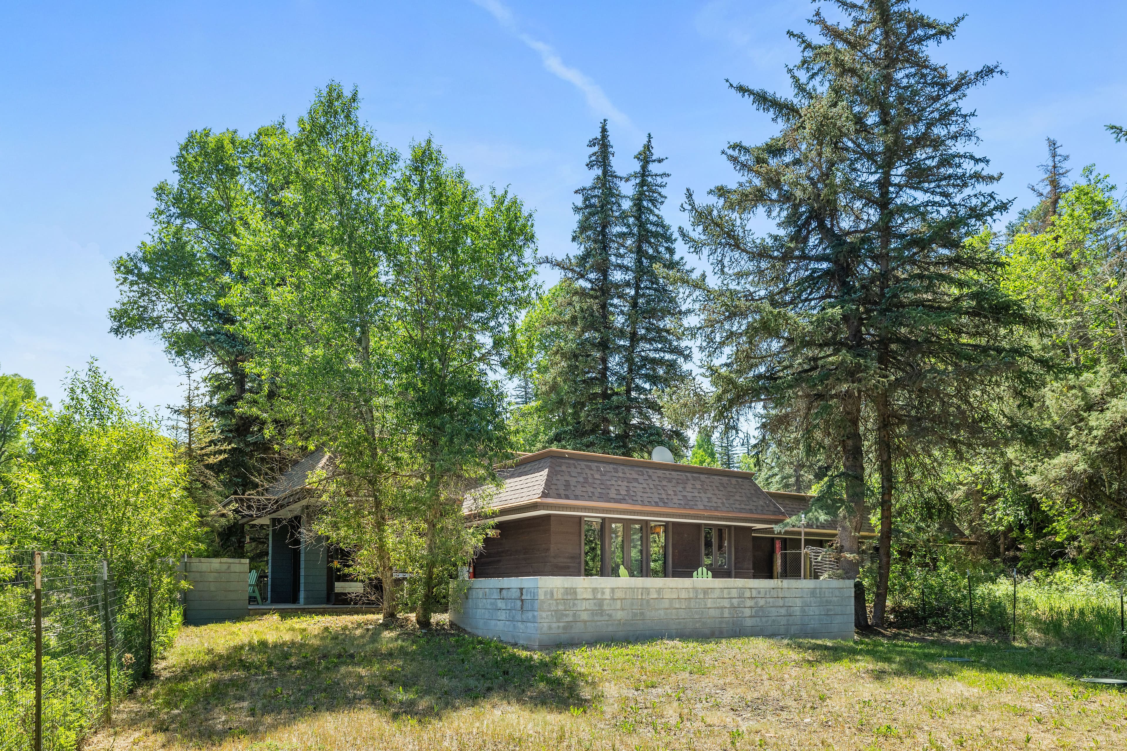 820 Twining Flats Road, Aspen, CO 81611 - Photo 10