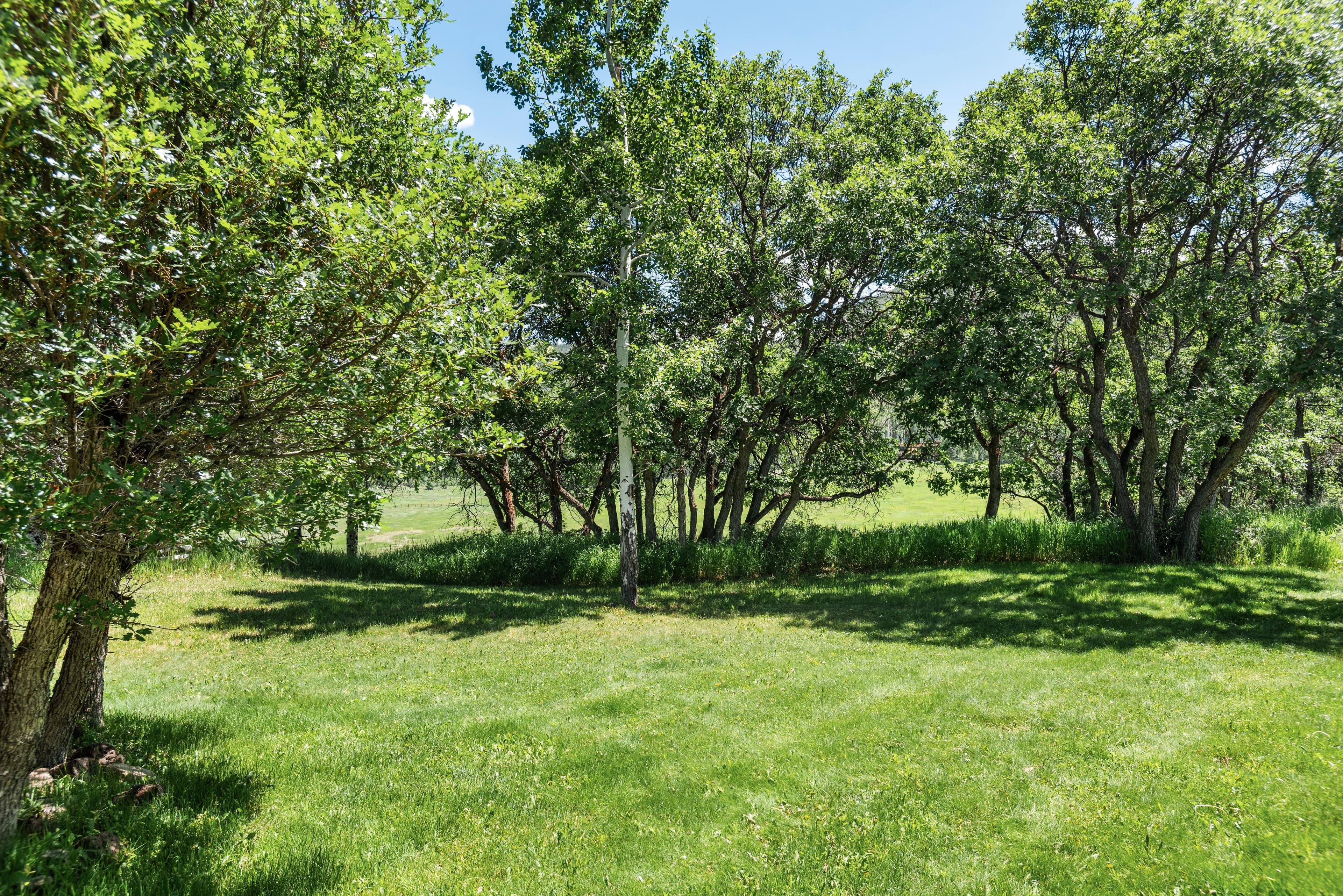 623 Johnson Drive, Aspen, CO 81611 - Photo 37