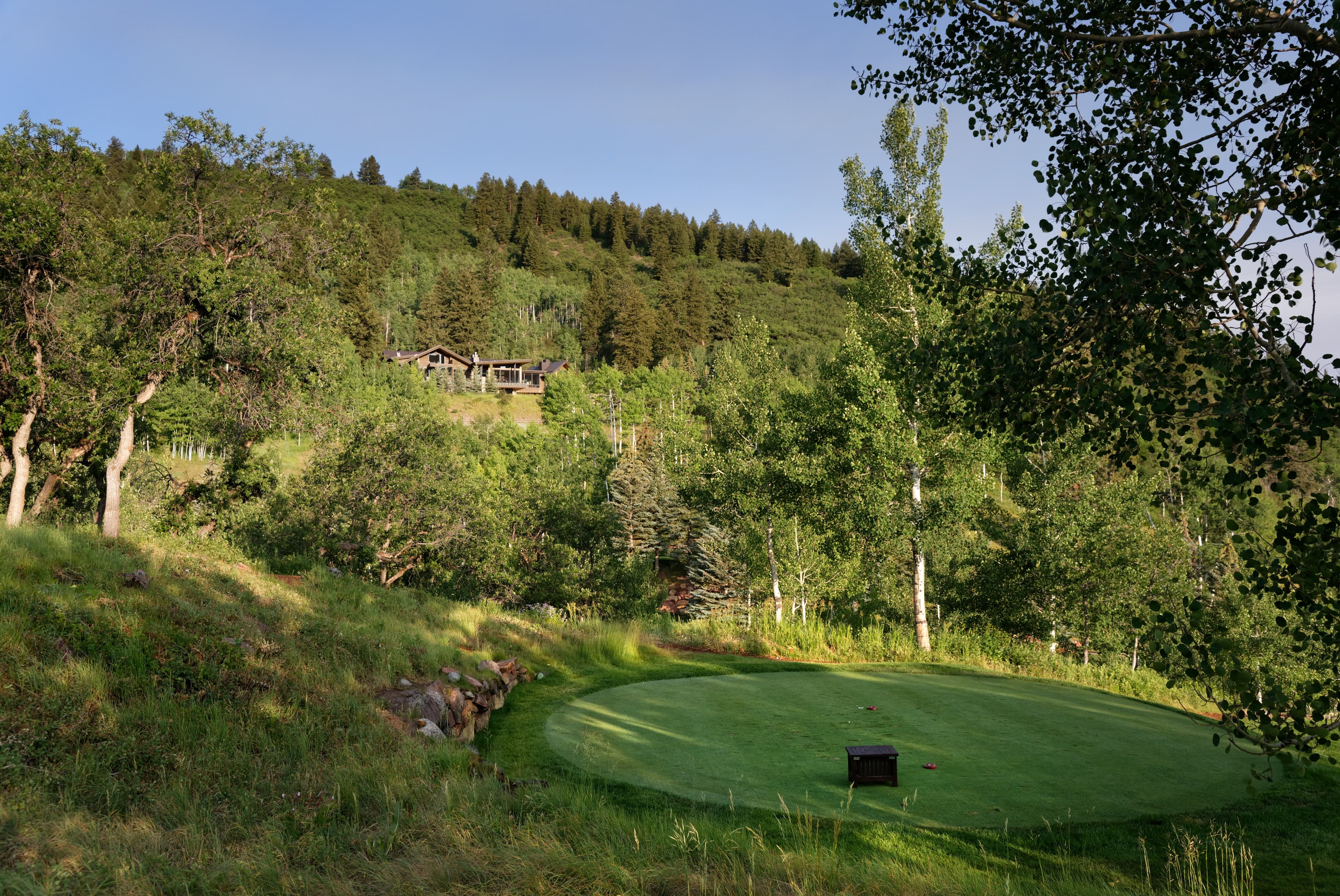 651 Pfister Drive, Aspen, CO 81611 - Photo 33