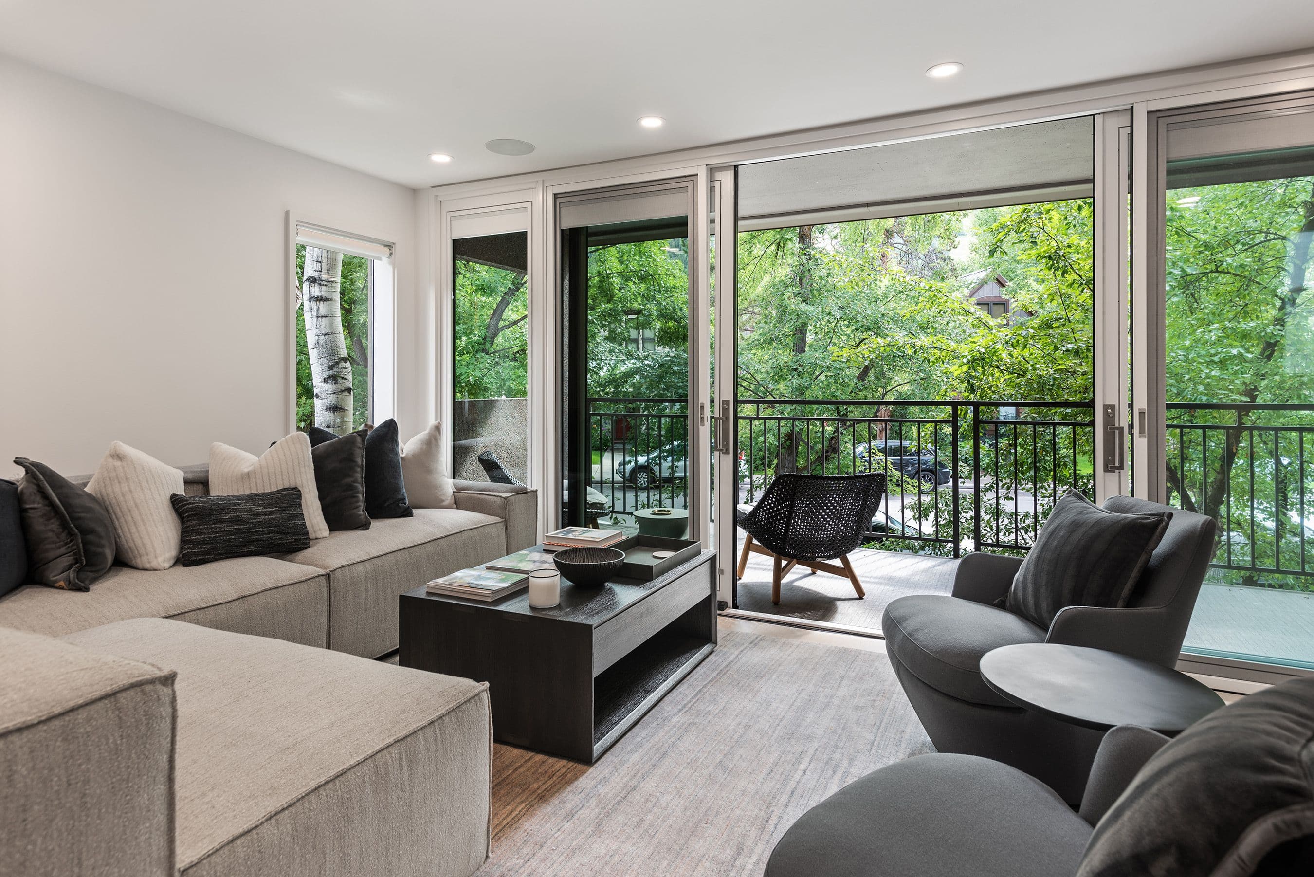 800 E Hopkins Avenue B5, Aspen, CO 81611 - Photo 1
