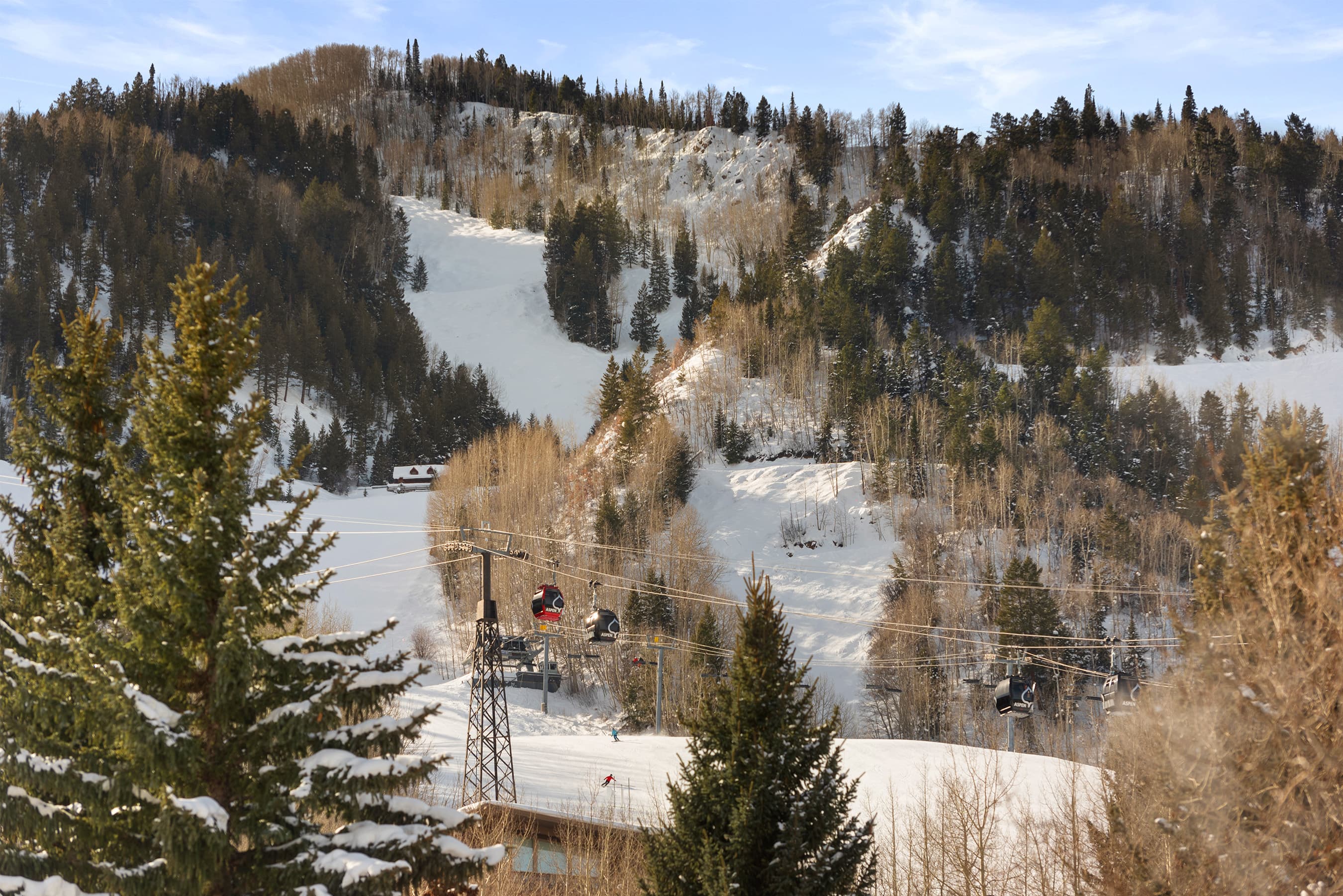550 S Spring Street 392, Aspen, CO 81611 - Photo 6