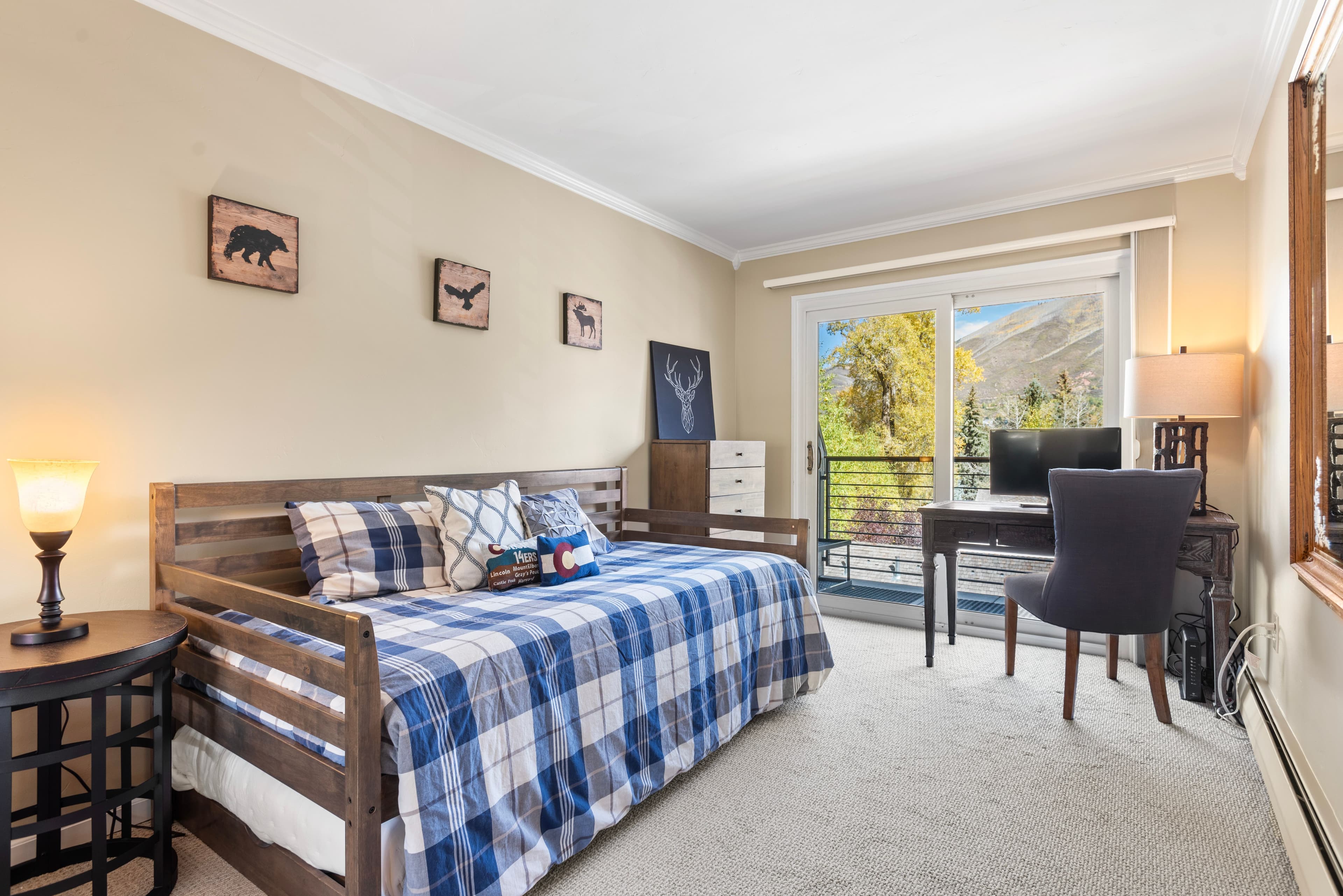 210 E Cooper Avenue 3b, Aspen, CO 81611 - Photo 7