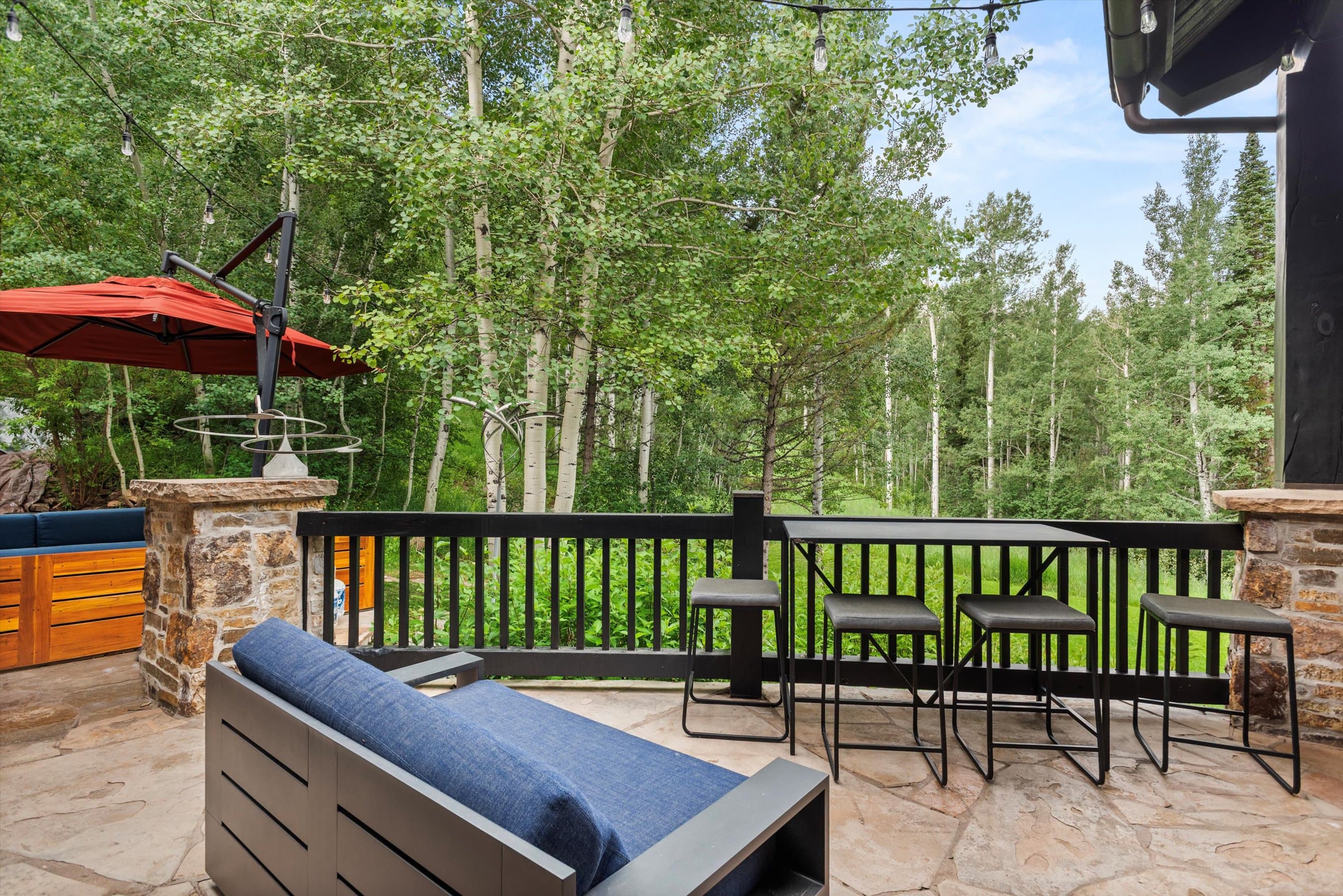 289 Exhibition Lane, Aspen, CO 81611 - Photo 29
