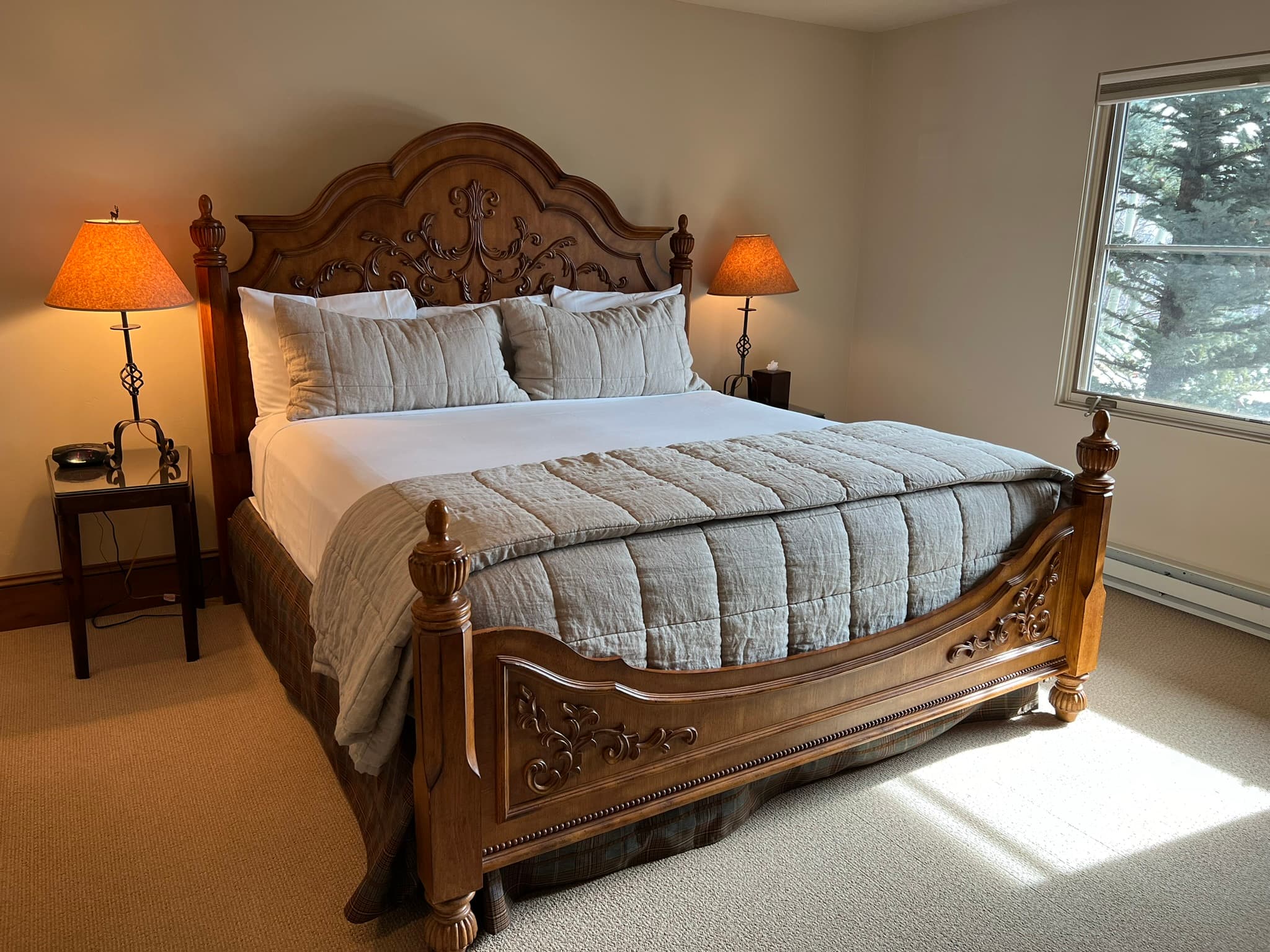 185 Nighthawk Drive, Aspen, CO 81611 - Photo 19