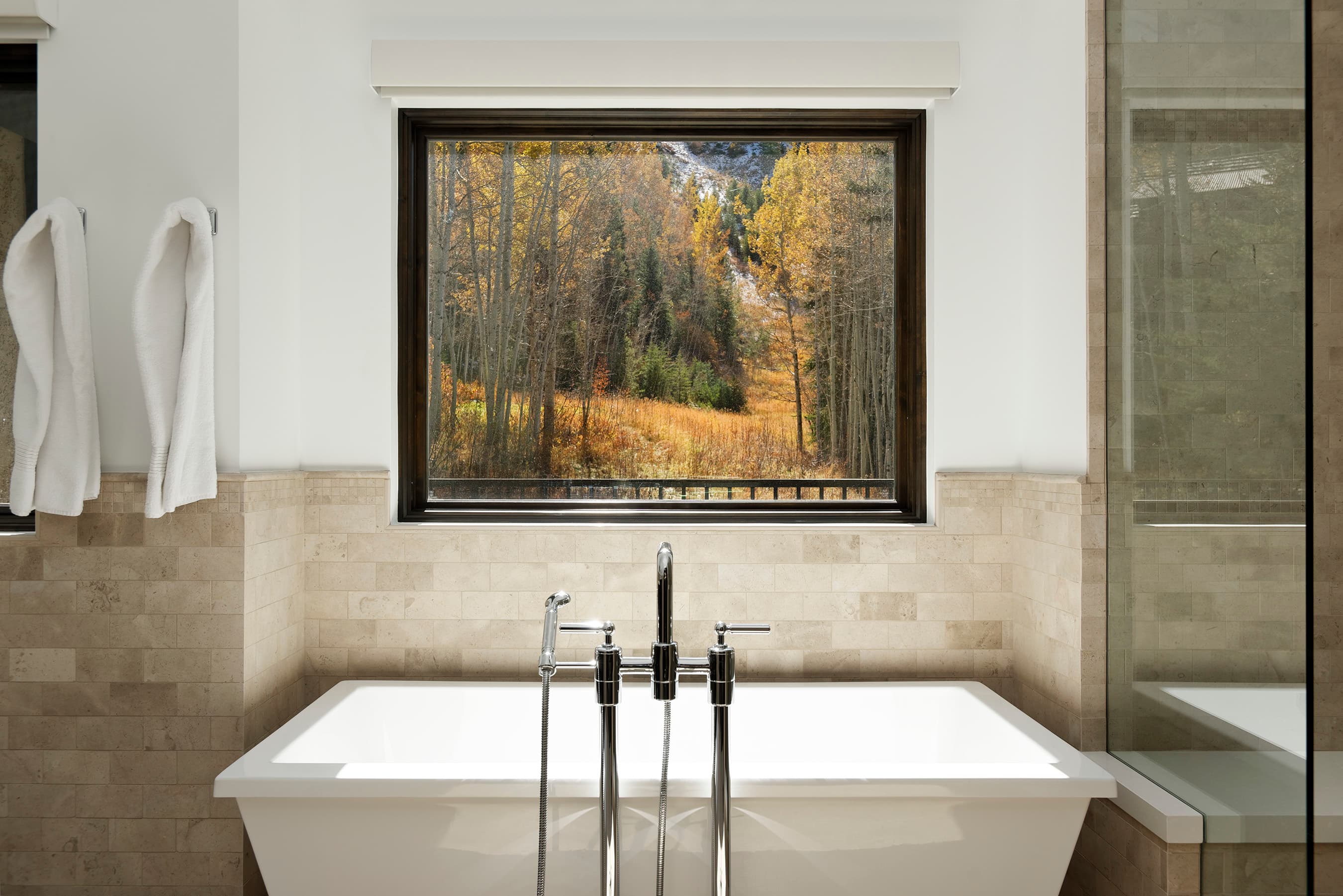 235 Exhibition Lane, Aspen, CO 81611 - Photo 22