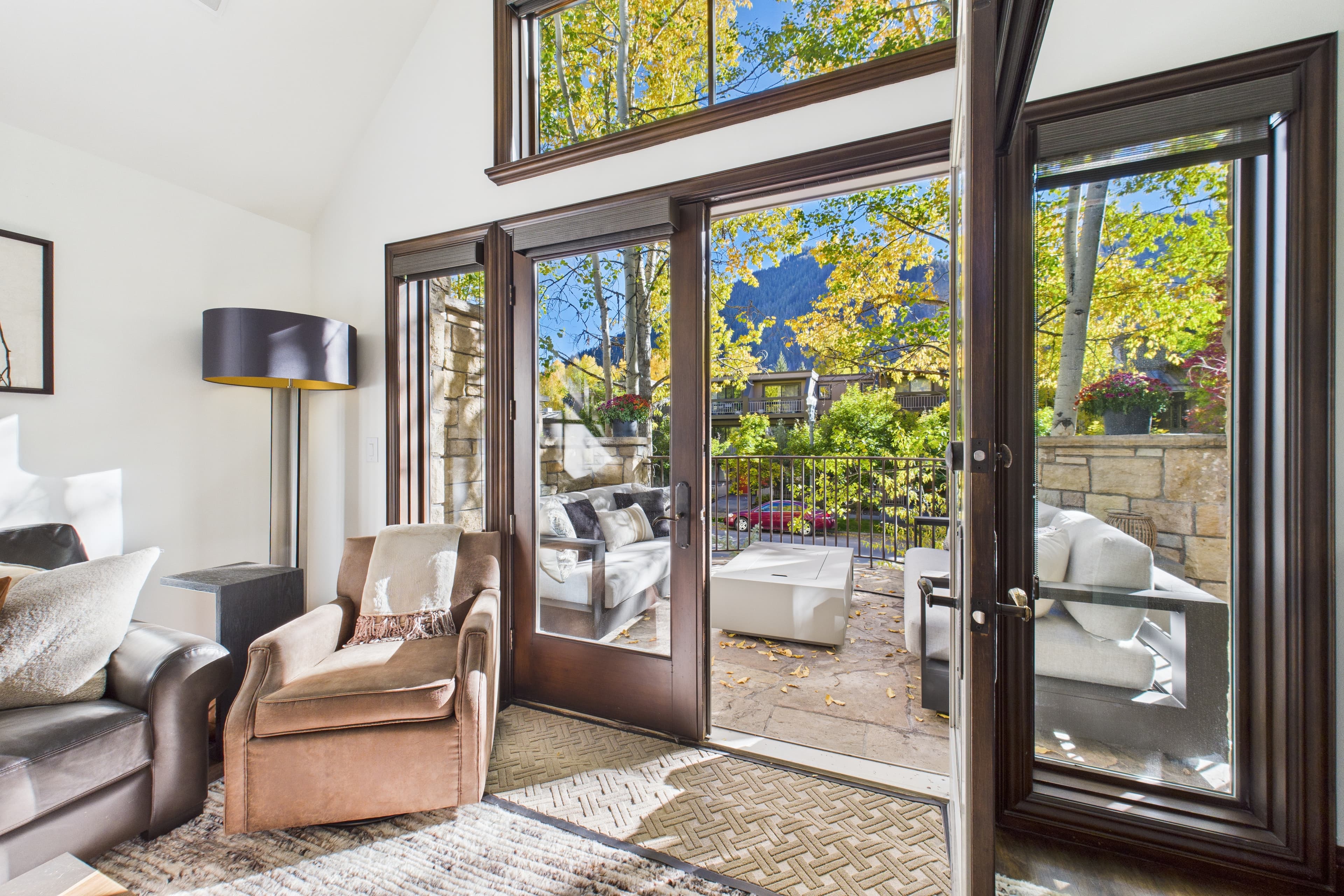 910 E Cooper Avenue, Aspen, CO 81611 - Photo 5