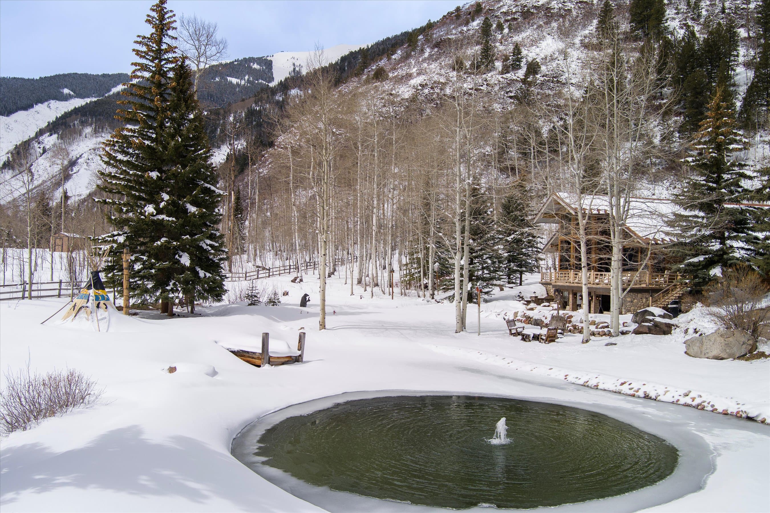 303 Conundrum Creek Road, Aspen, CO 81611 - Photo 27