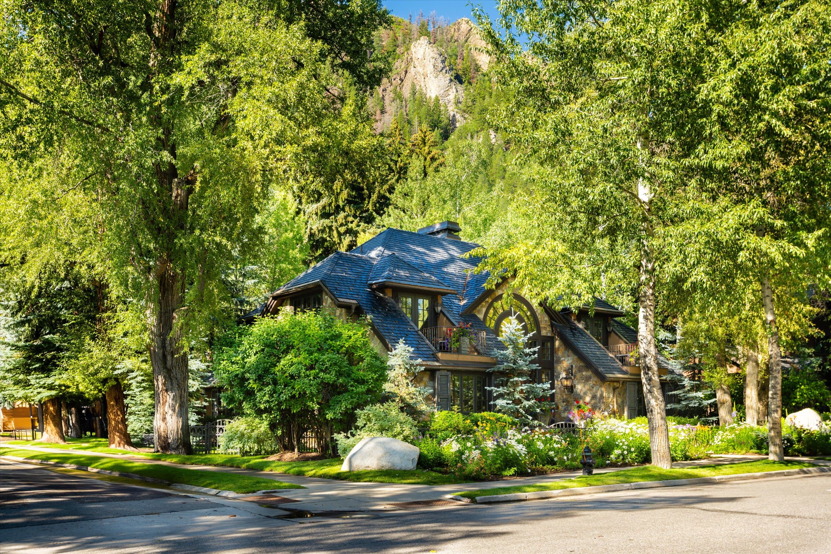 303 W Hopkins Avenue, Aspen, CO 81611 - Photo 42