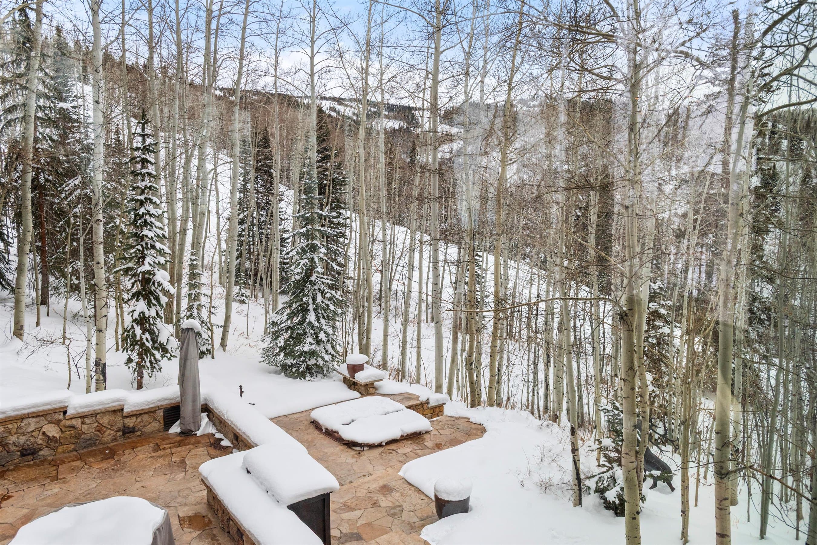 1777 Wood Road, Snowmass Village, CO 81615 - Photo 11