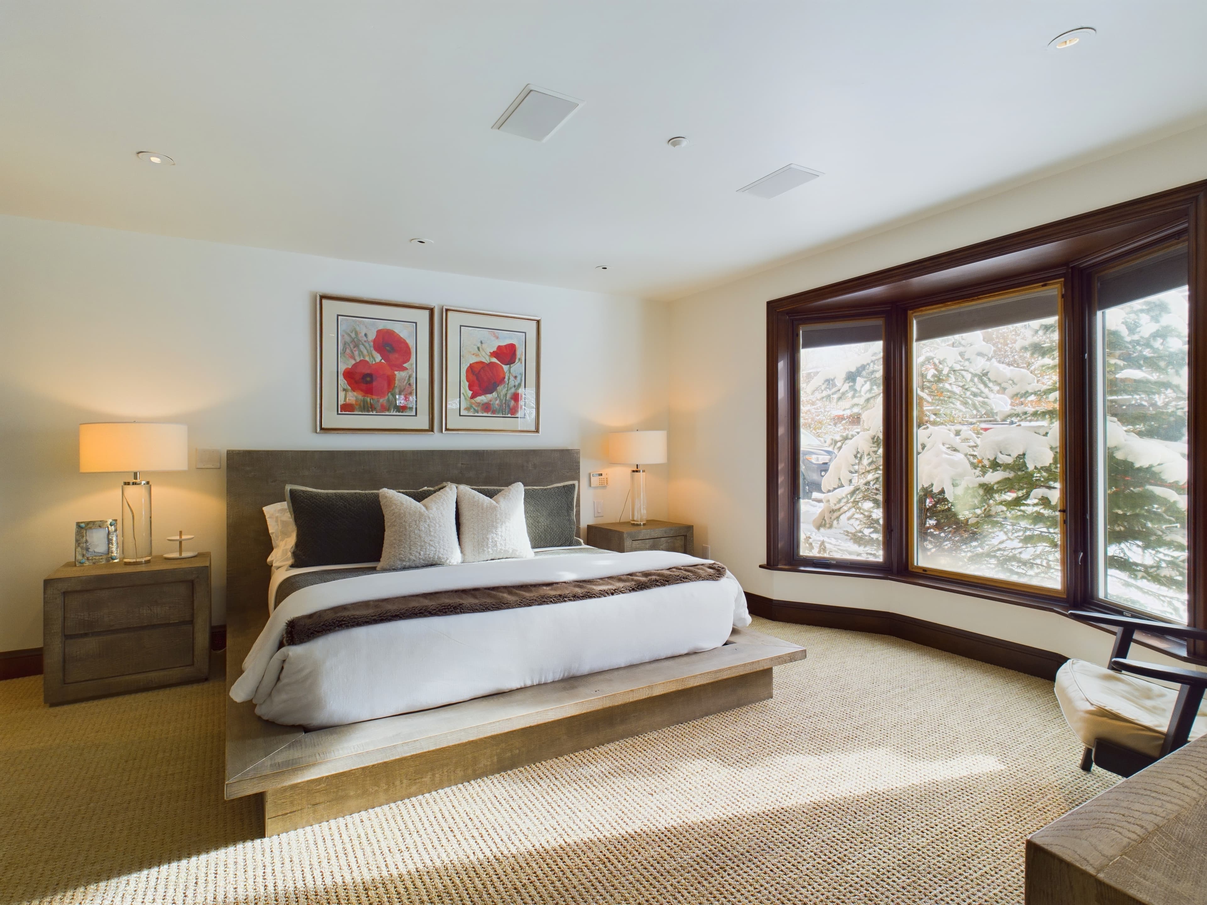 910 E Cooper Avenue, Aspen, CO 81611 - Photo 34