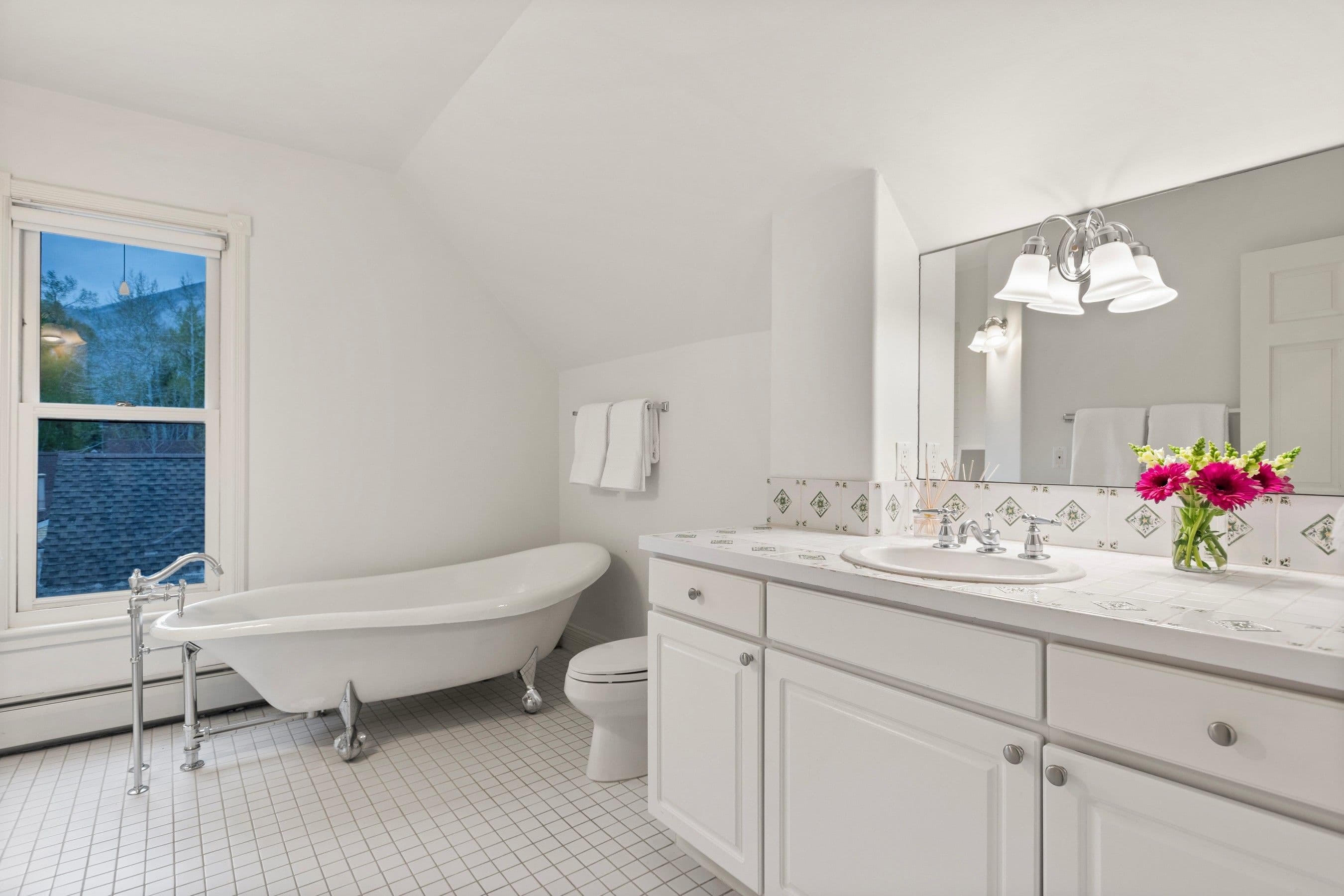 716 & 718 W Hallam Street, Aspen, CO 81611 - Photo 13