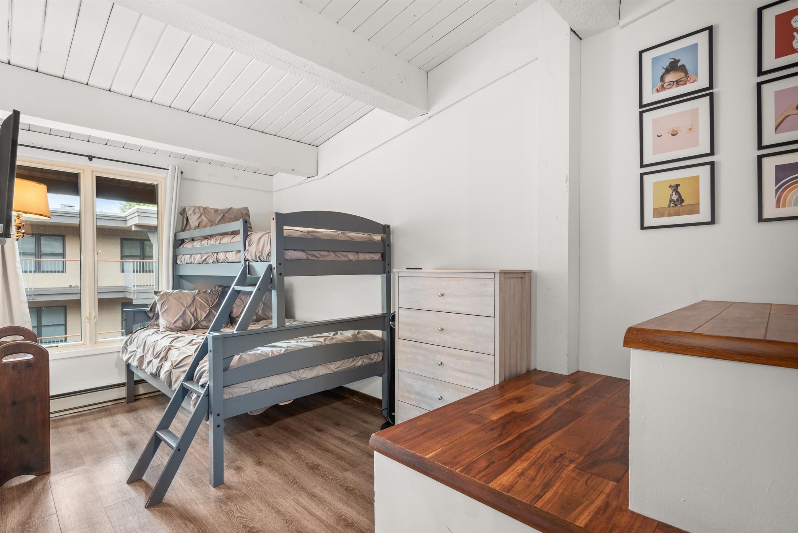 1039 E Cooper Avenue 36B, Aspen, CO 81611 - Photo 4