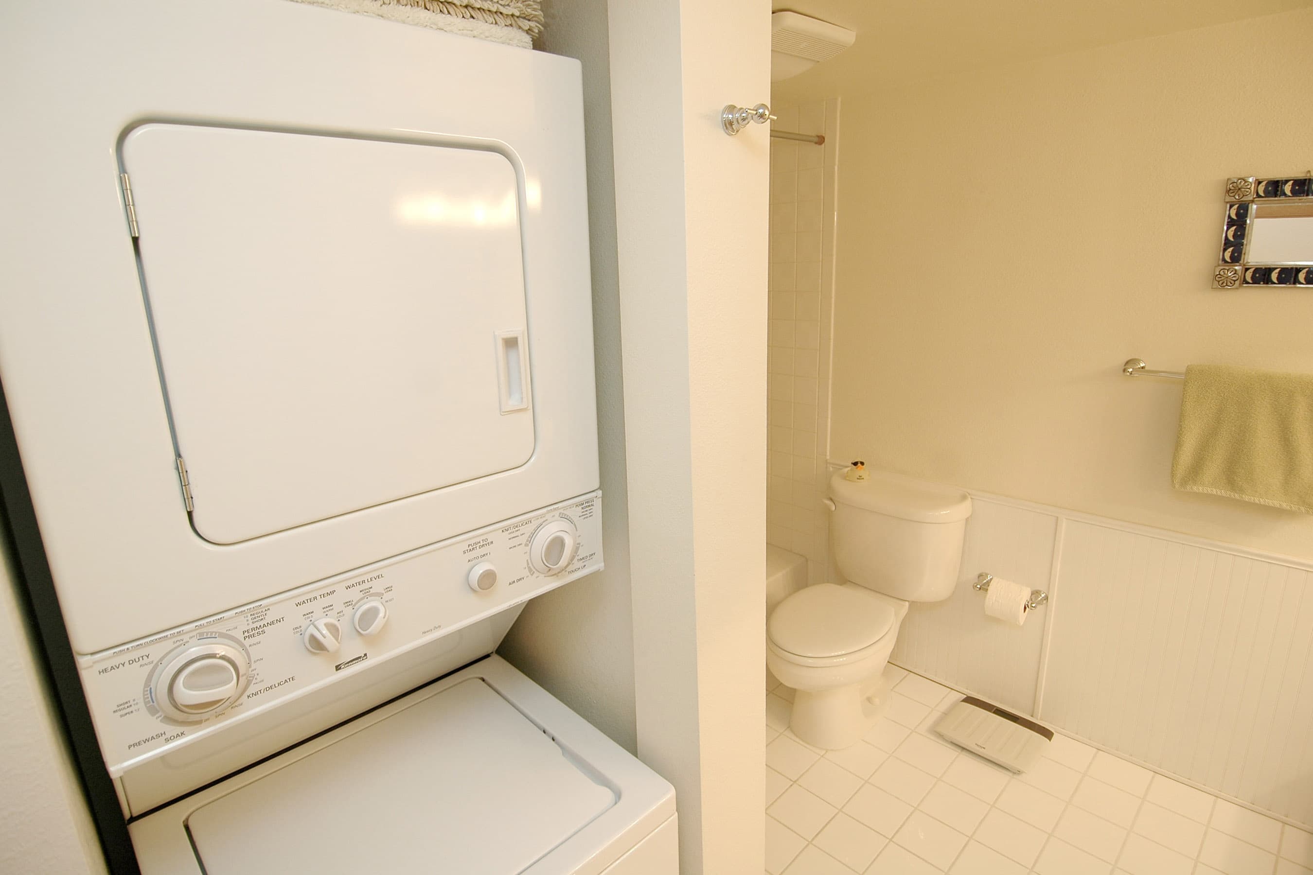 311 S Aspen Street Unit 6, Aspen, CO 81611 - Photo 4