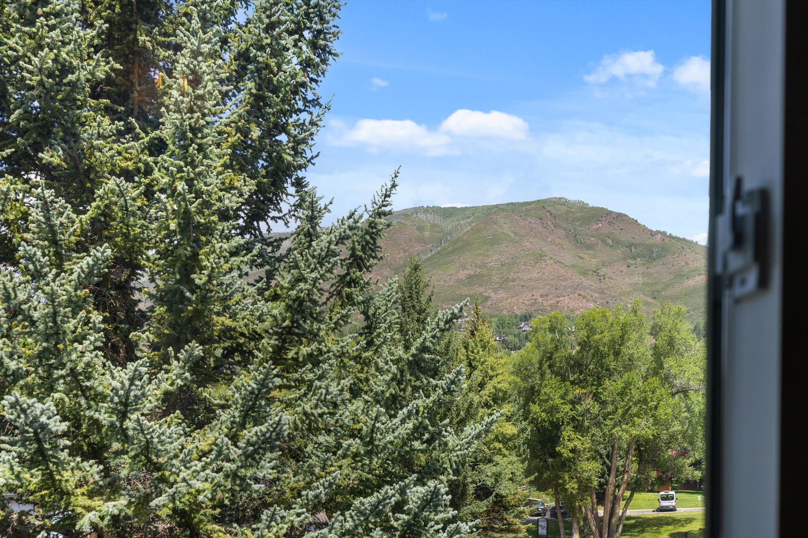 950 Vine Street, Aspen, CO 81611 - Photo 7