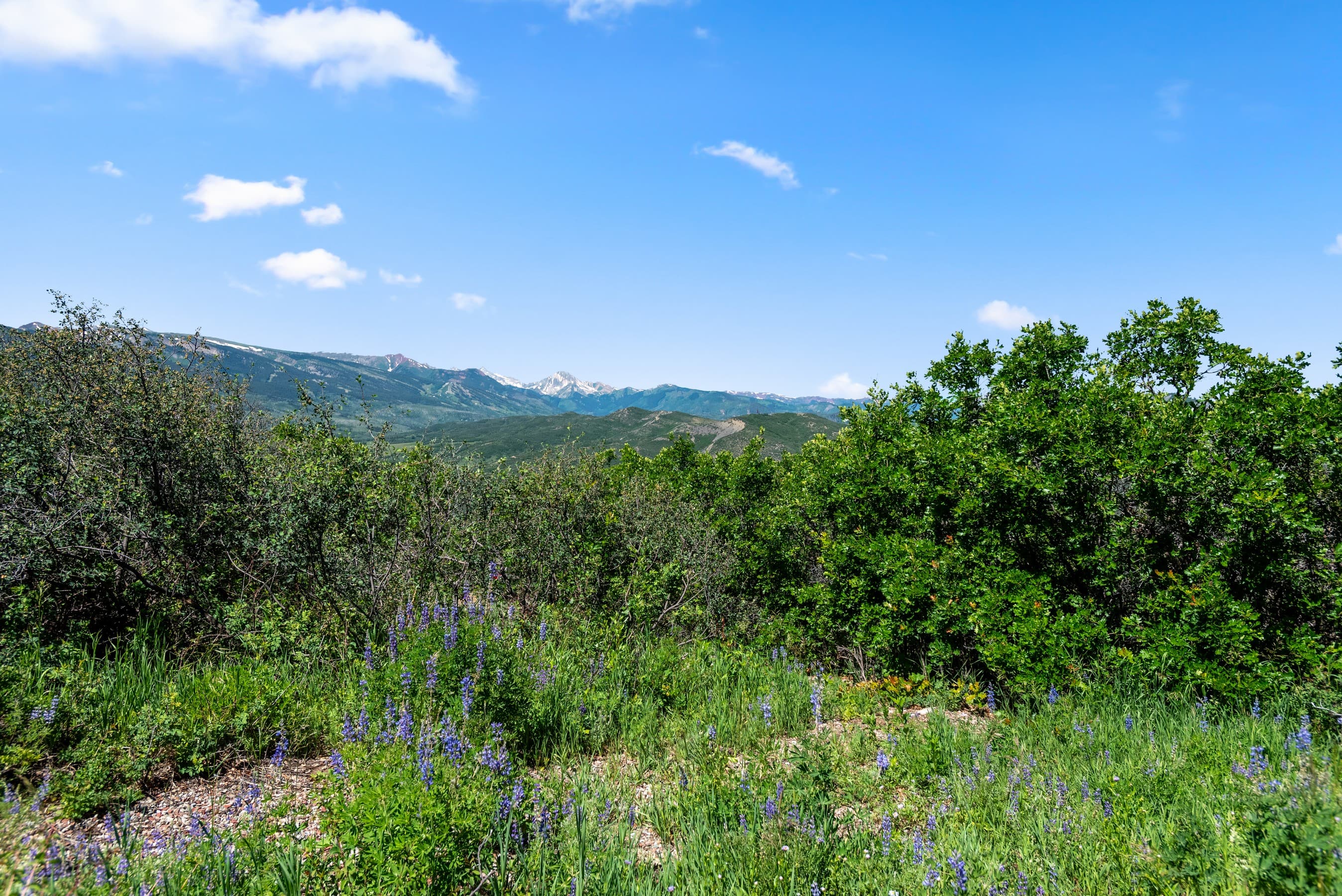 TBD Trentaz Drive, Aspen, CO 81611 - Photo 26