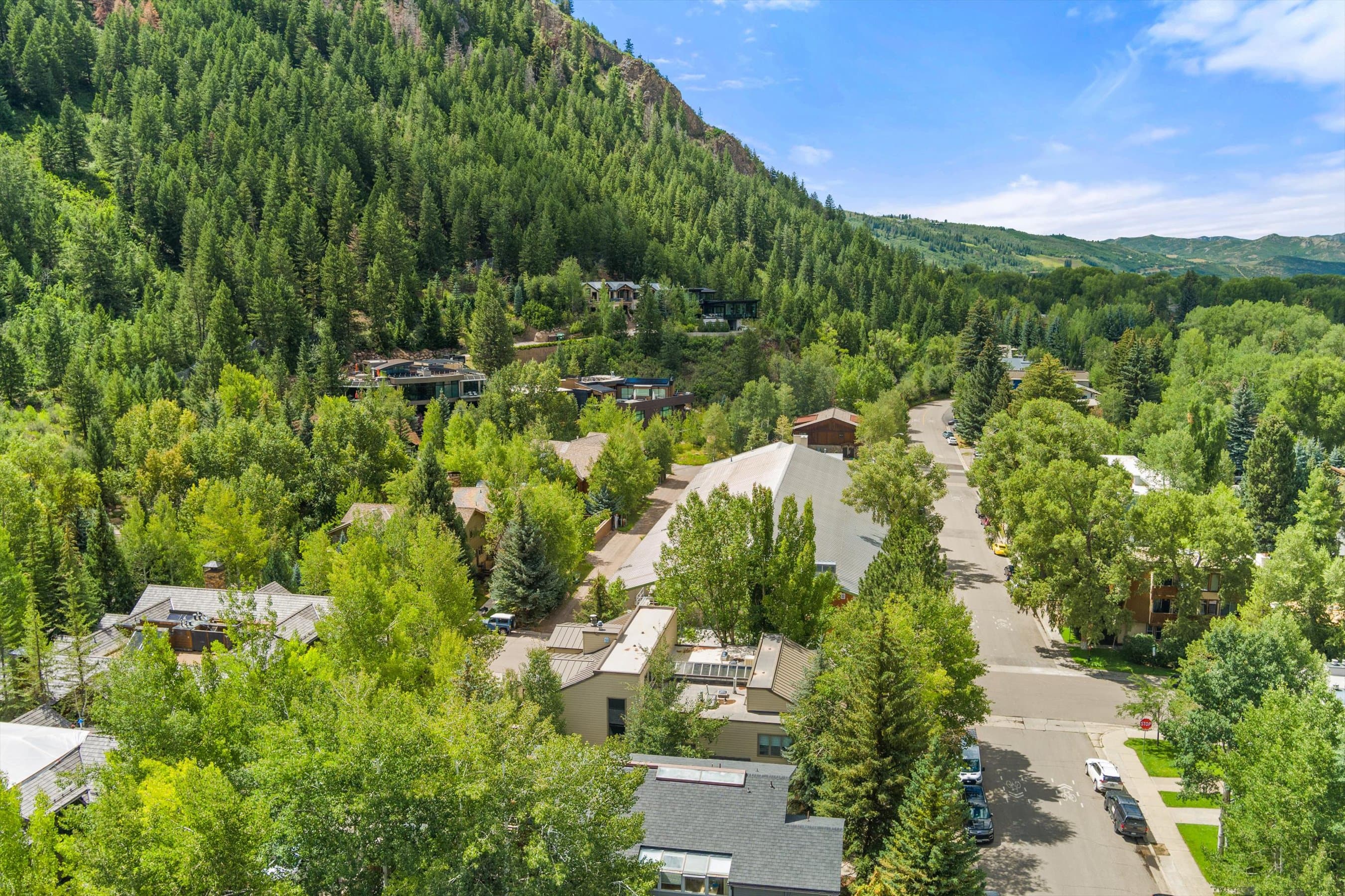 123 W Hyman Avenue Unit A, Aspen, CO 81611 - Photo 9