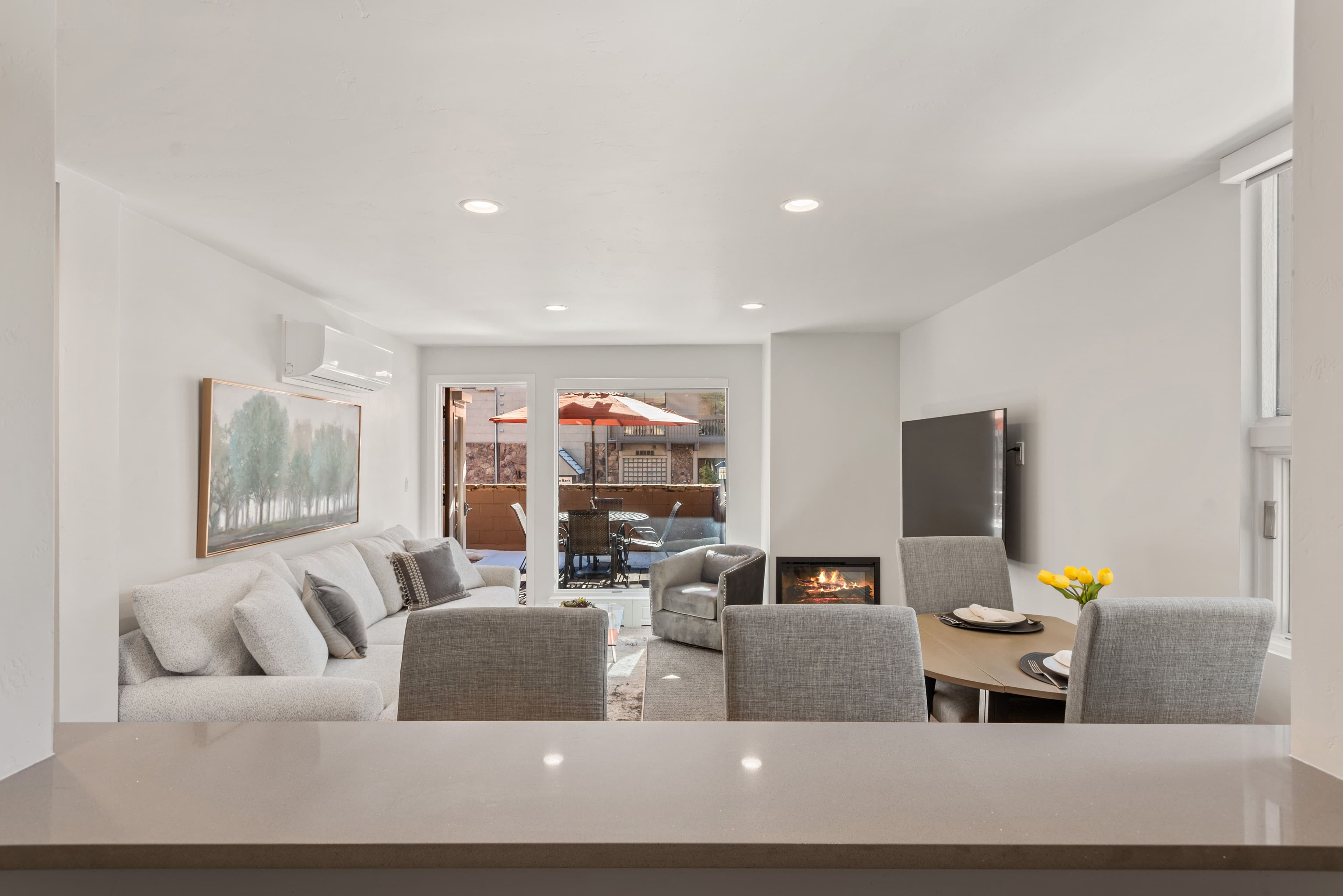605 E Main Street #7, Aspen, CO 81611 - Photo 3